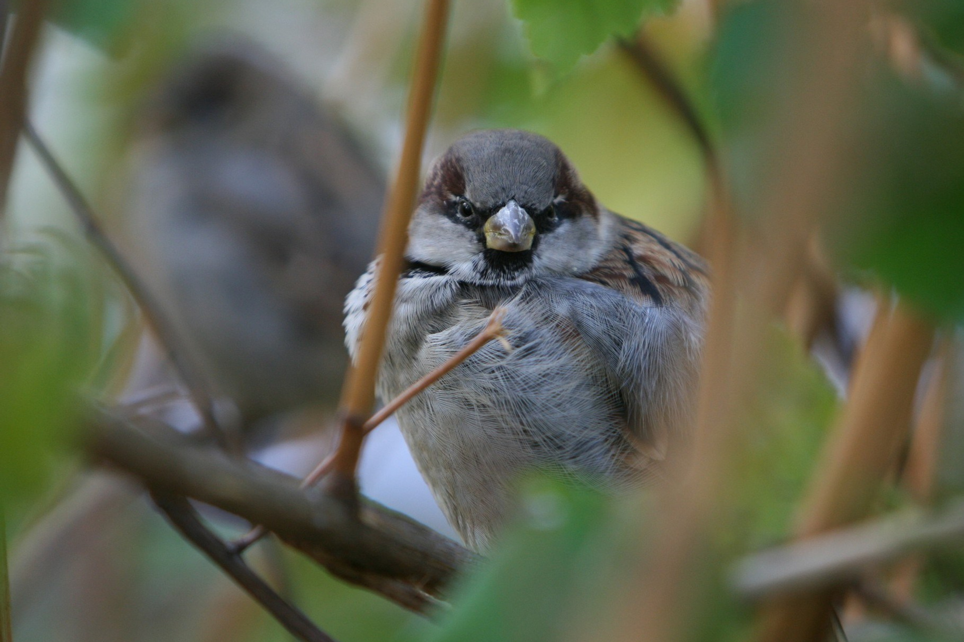 Блог. Кучеров Евгений. Фотограф