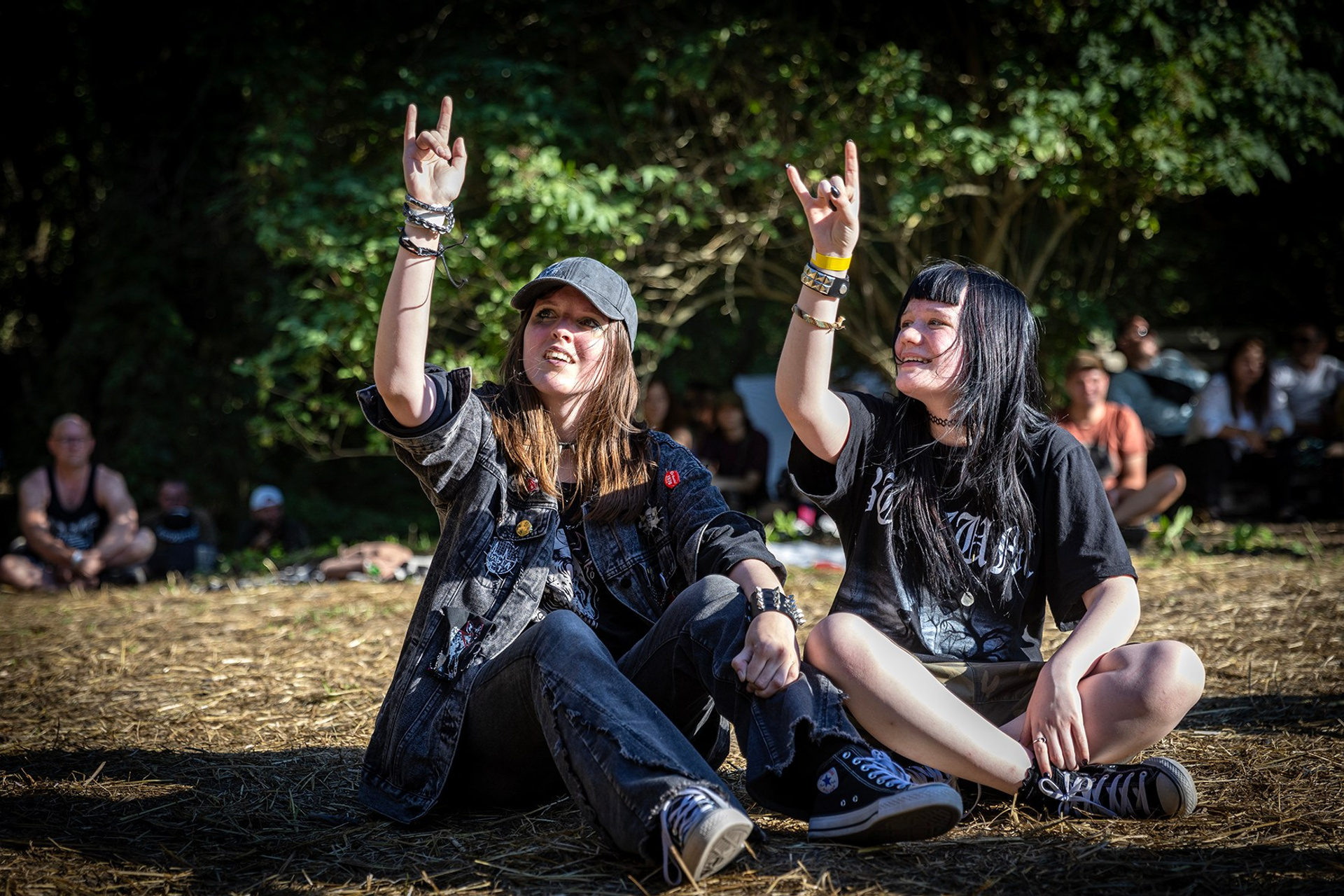 Музыкальный фестиваль «Pulse. Музыка леса» в г. Ессентуки