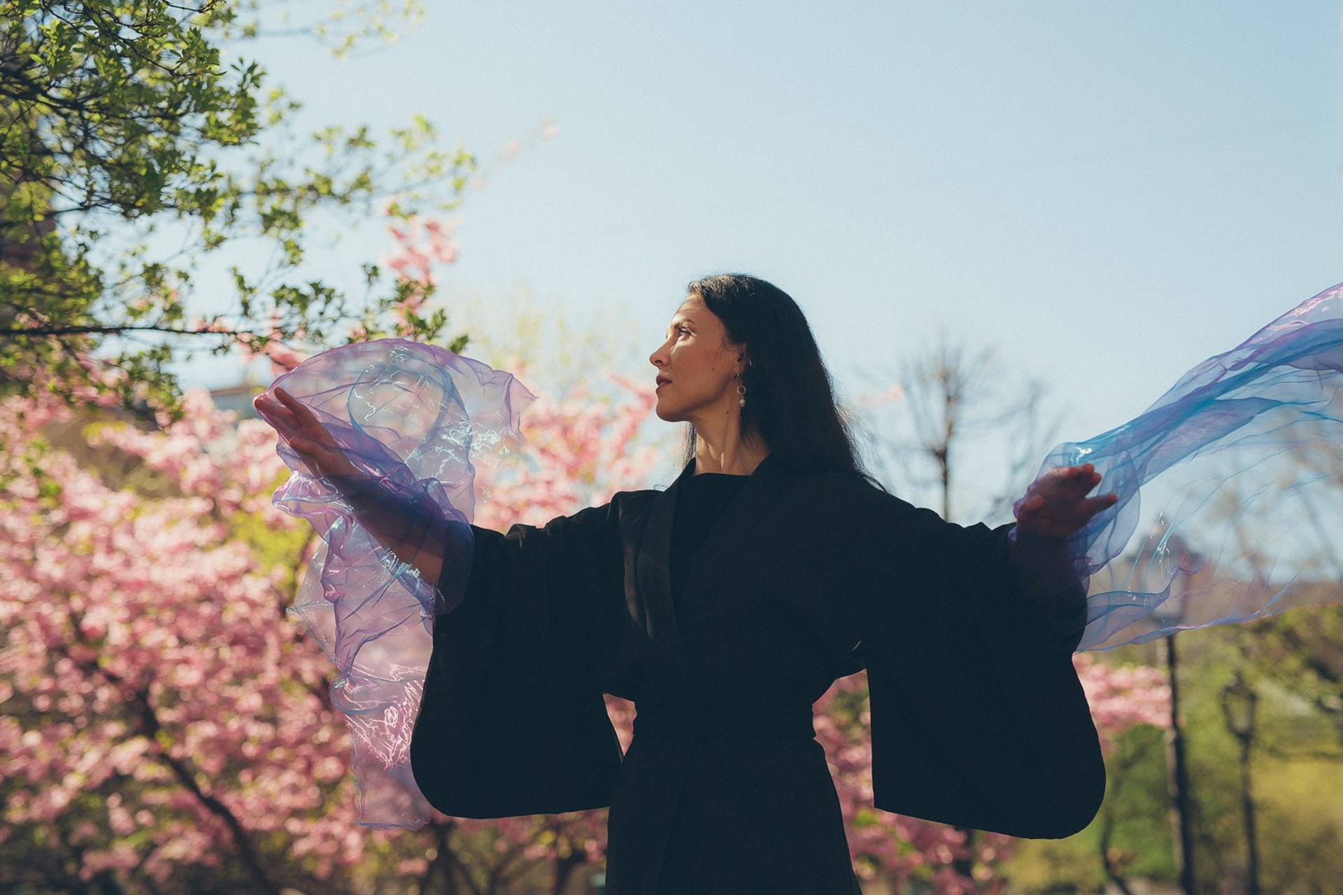 Сакура в саду дружбы