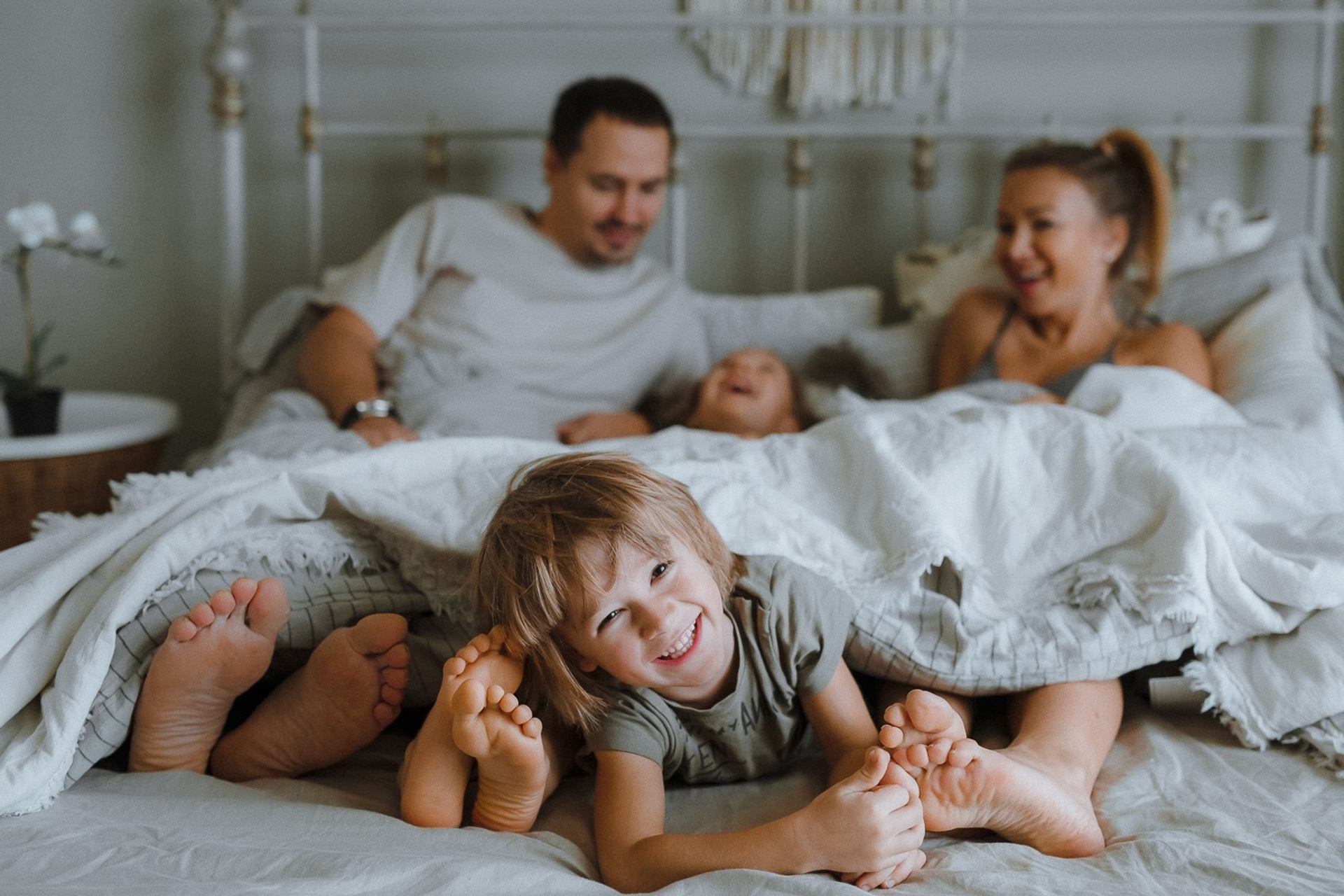 Новогодние каникулы на даче