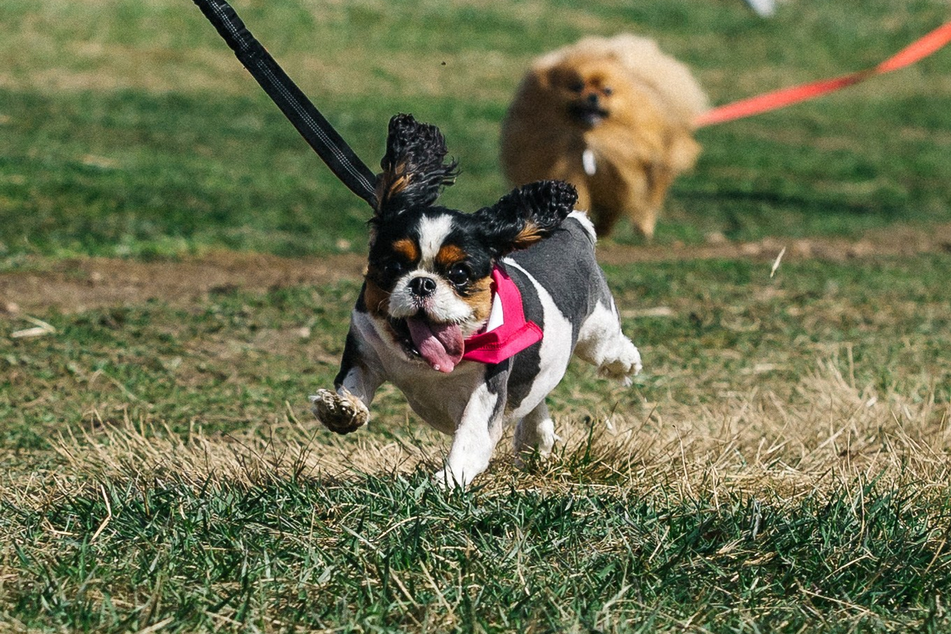 Истории. Репортажные события. Репортажный фотограф в Москве