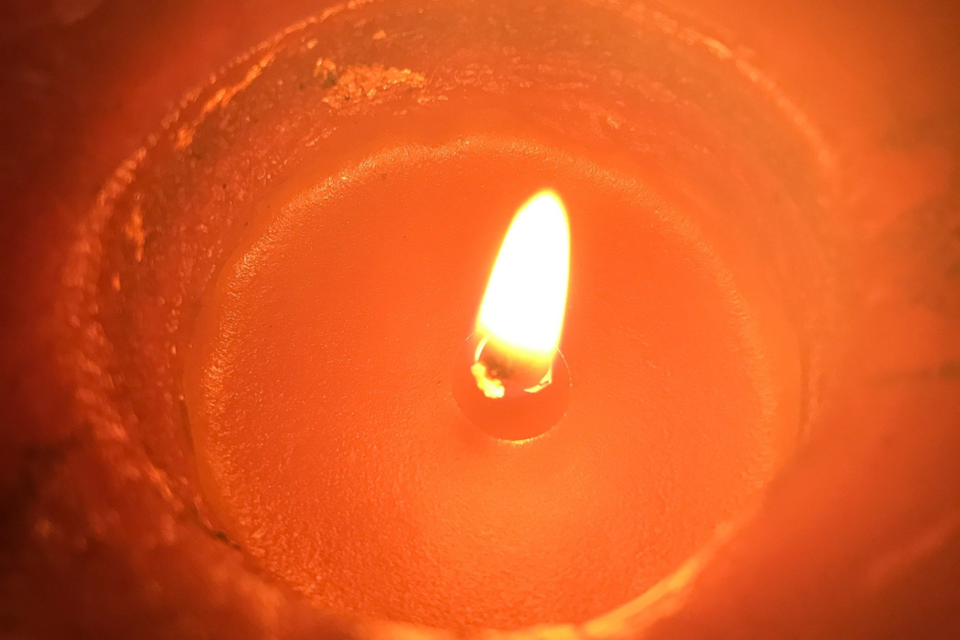 Мысли Вслух. Аmat Victoria Сuram