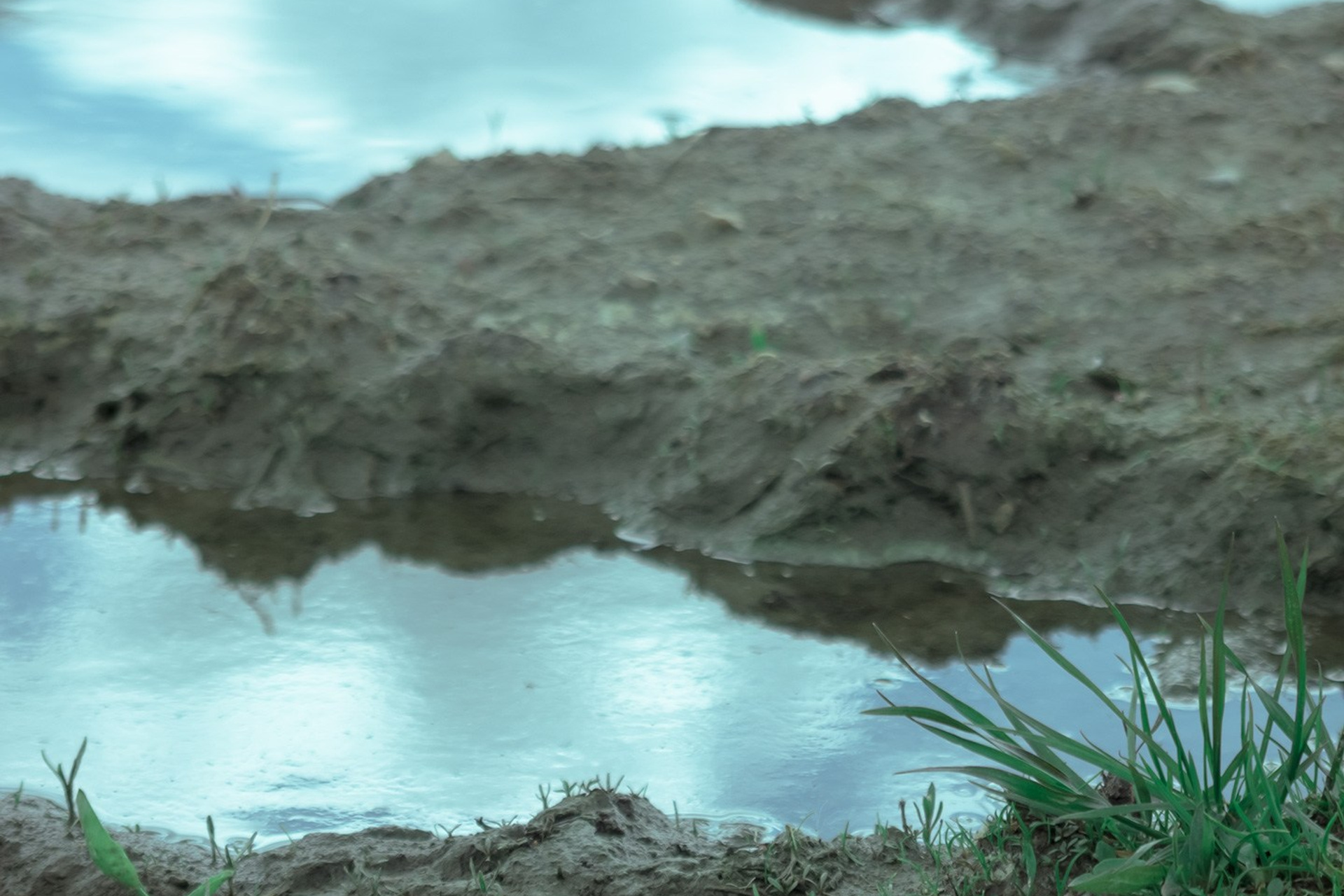 А что Дальше?. Аmat Victoria Сuram