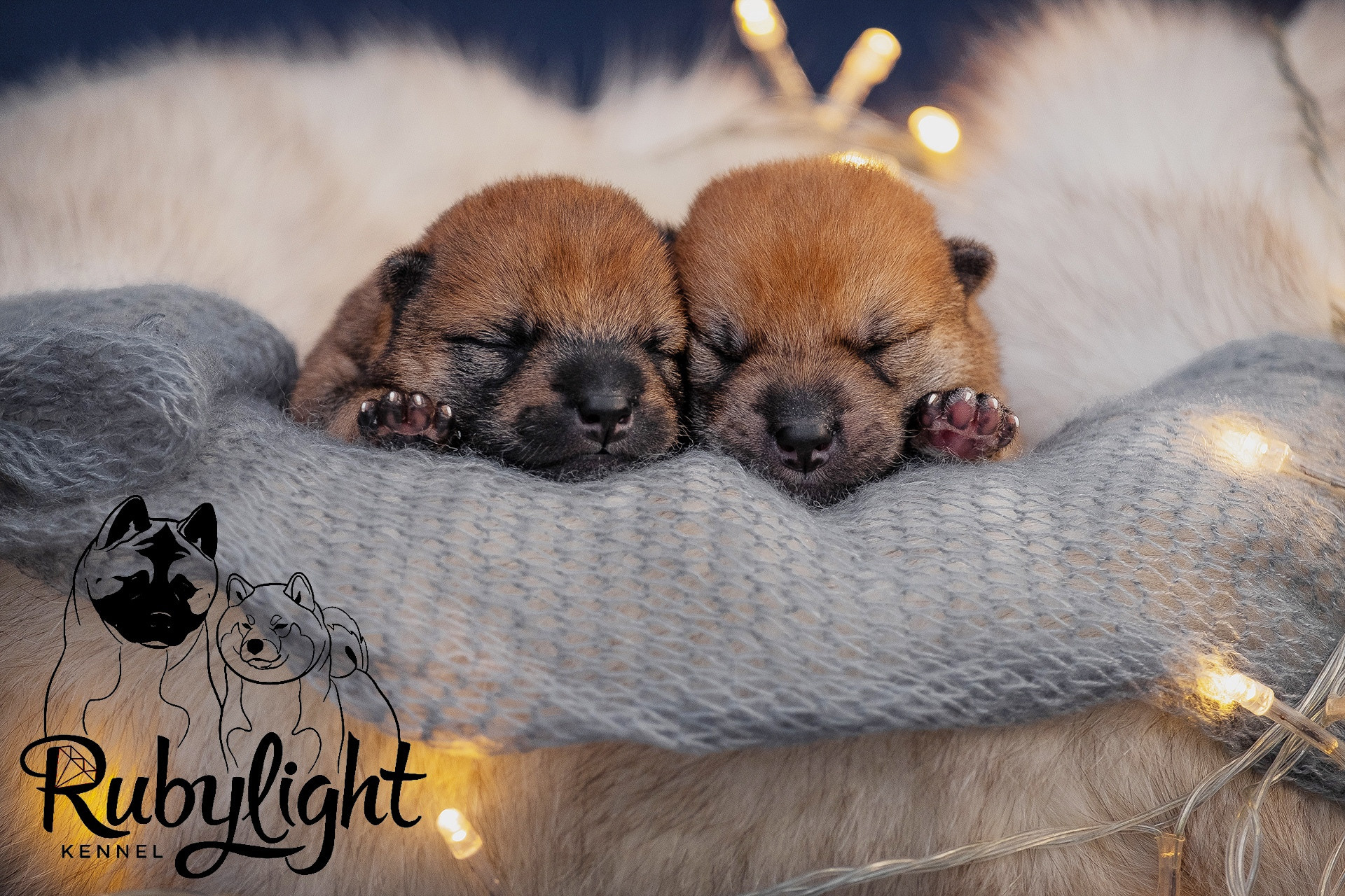 помет О общее