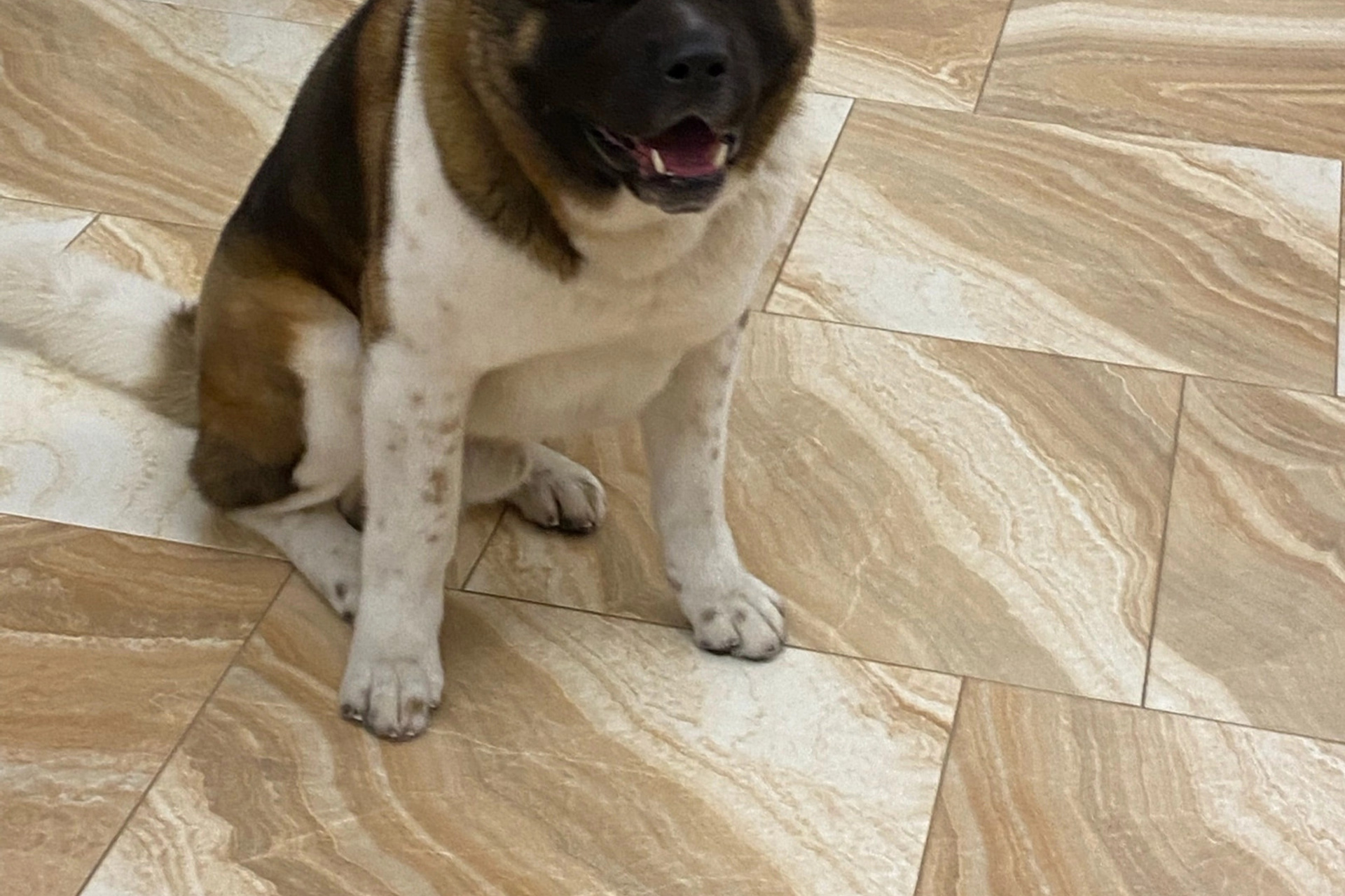 RUBYLIGHT BENZAITEN * Беня