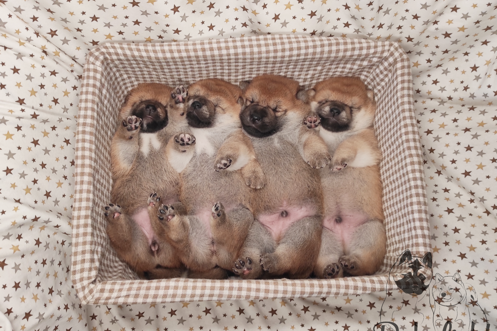 Помет Р общее