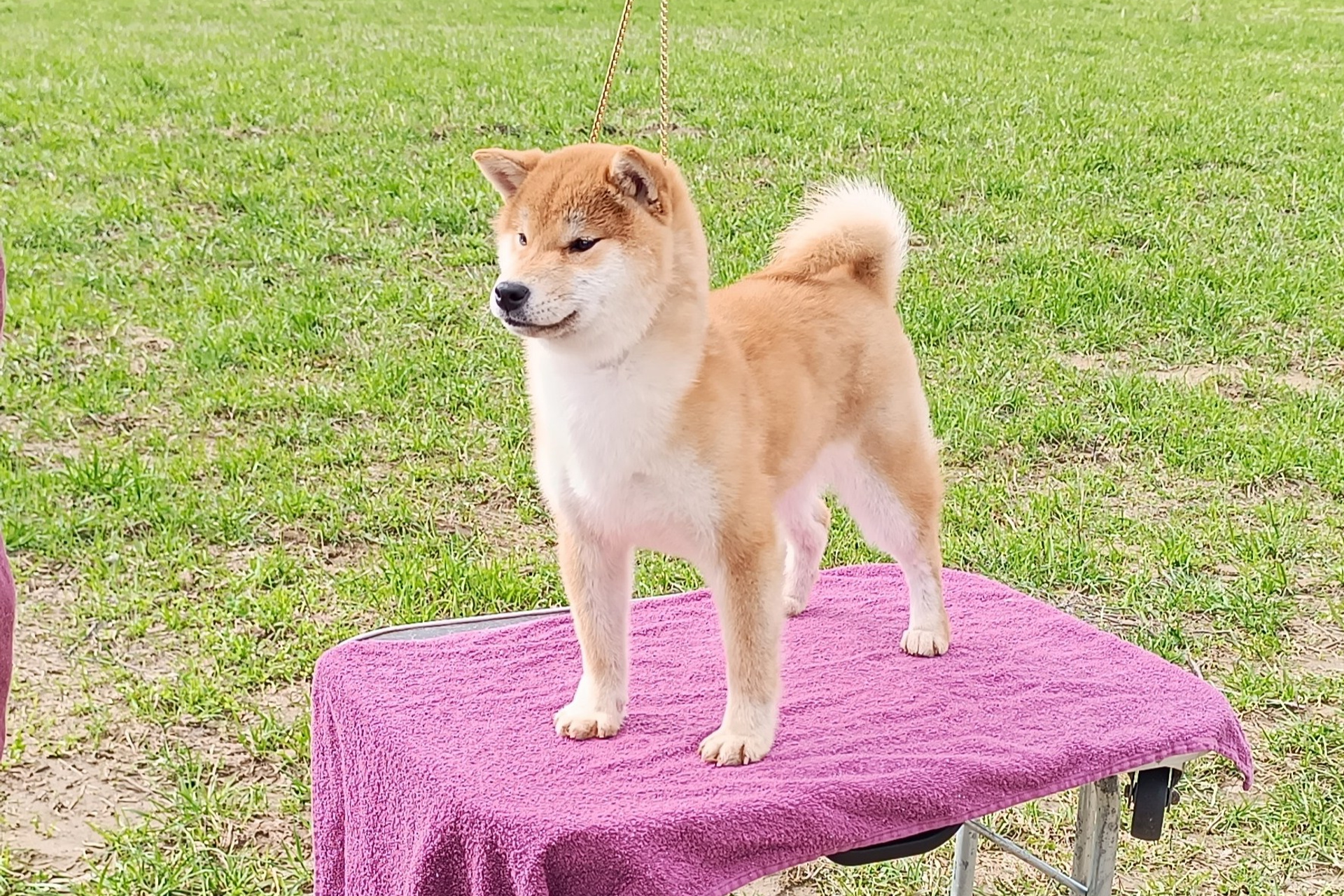 Rubylight Bella * Белла