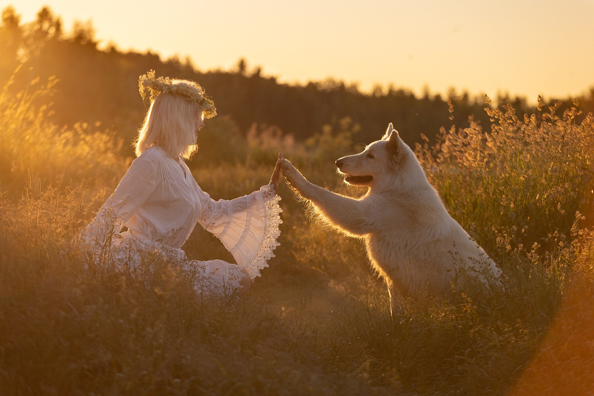 Блог. Фотограф-анималист Natalia Deingel | Фотосъемка собак в Москве