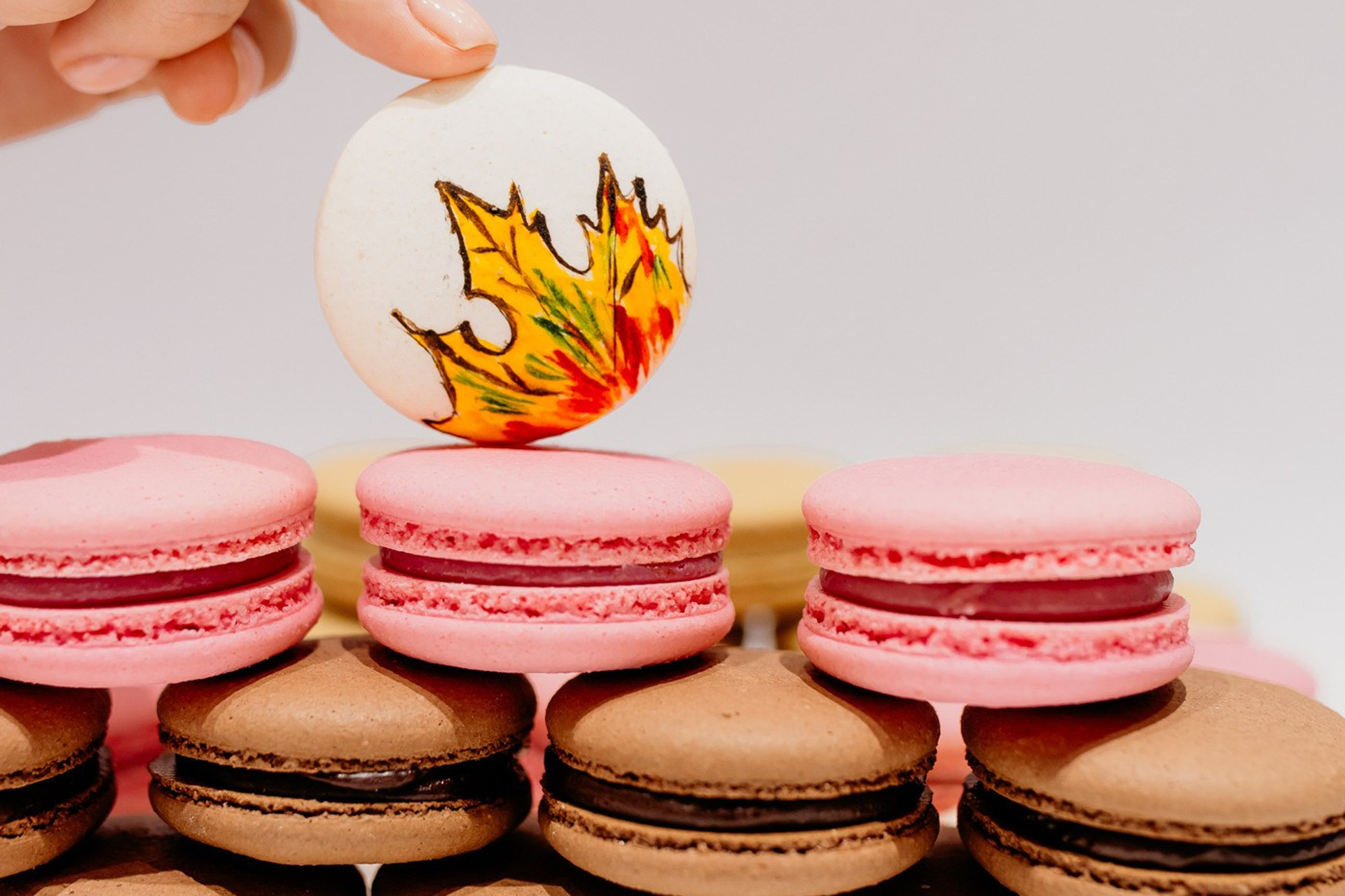 Кофейня «На небе есть облака»