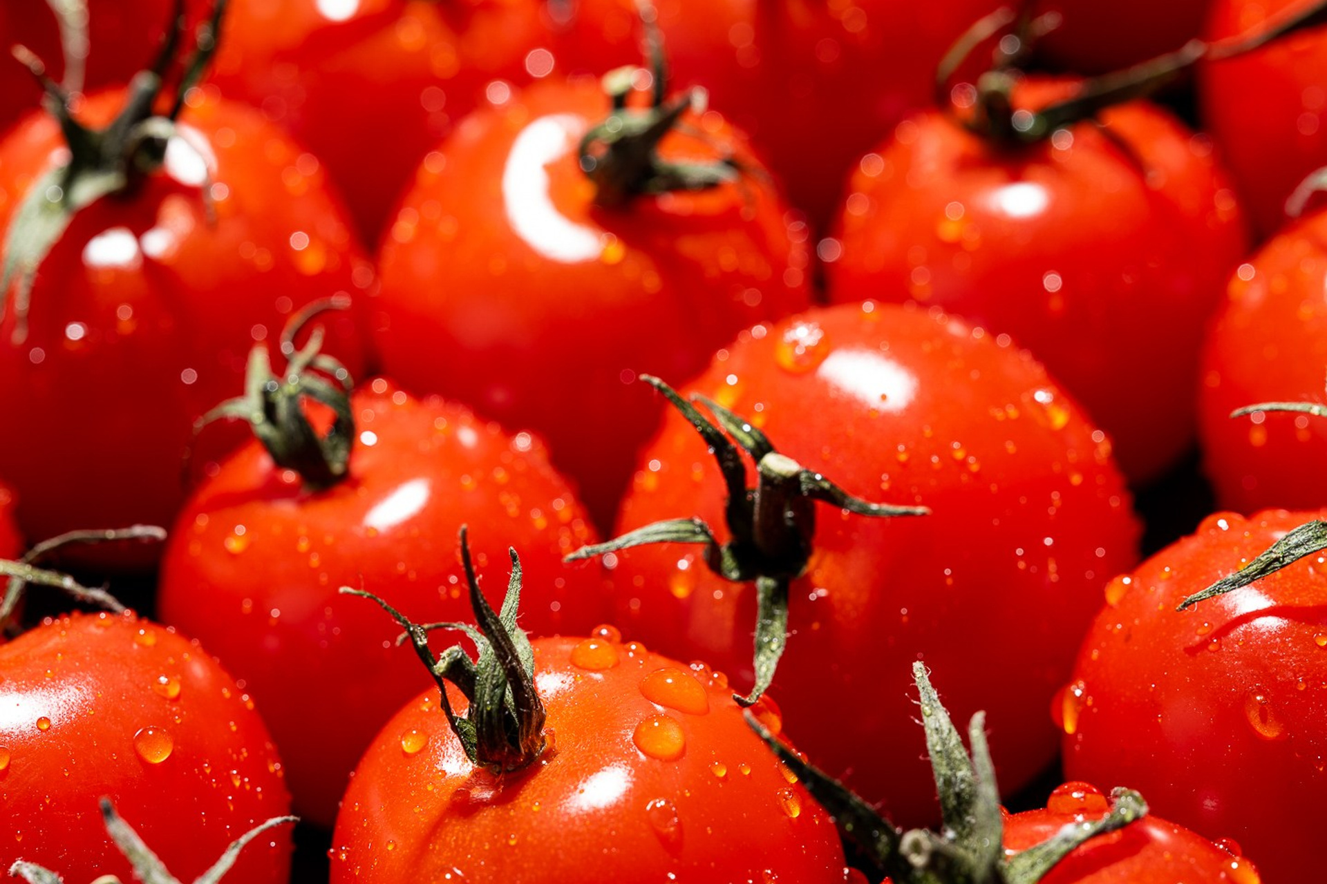 Еда. Moscow-photo-art.ru