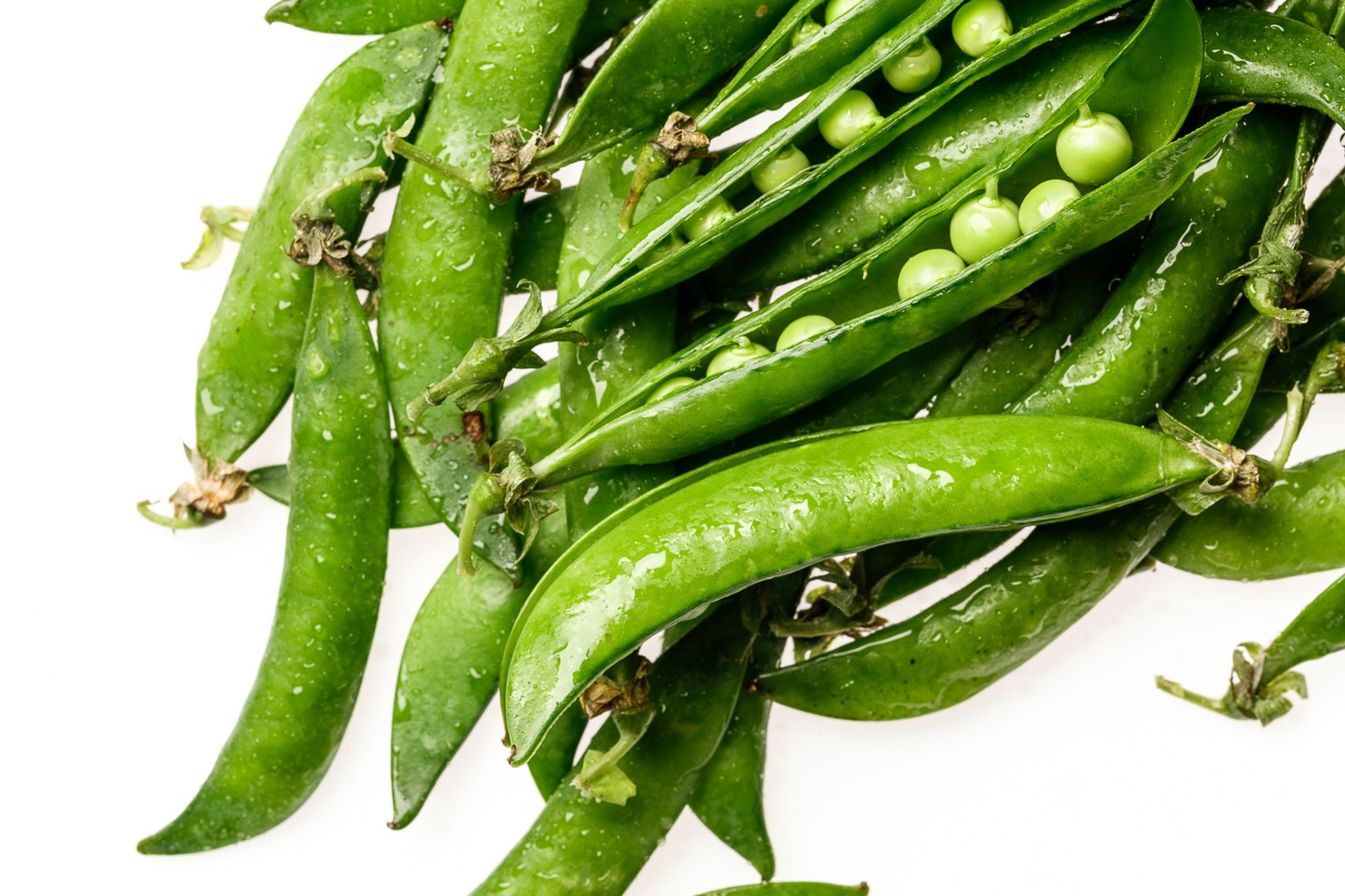 Еда. Moscow-photo-art.ru