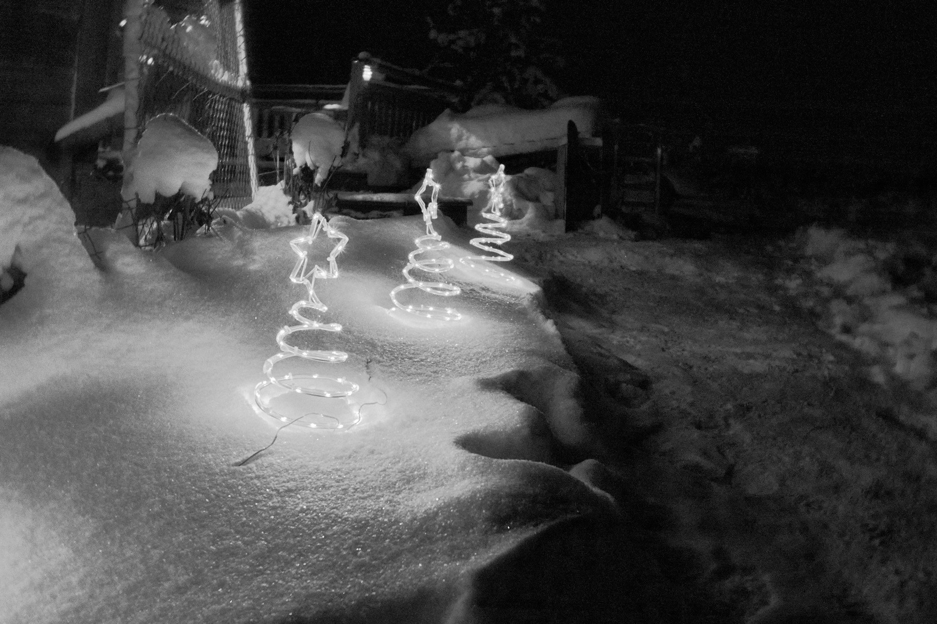 Рождество-2026. Фотограф Виктор Луганский Москва