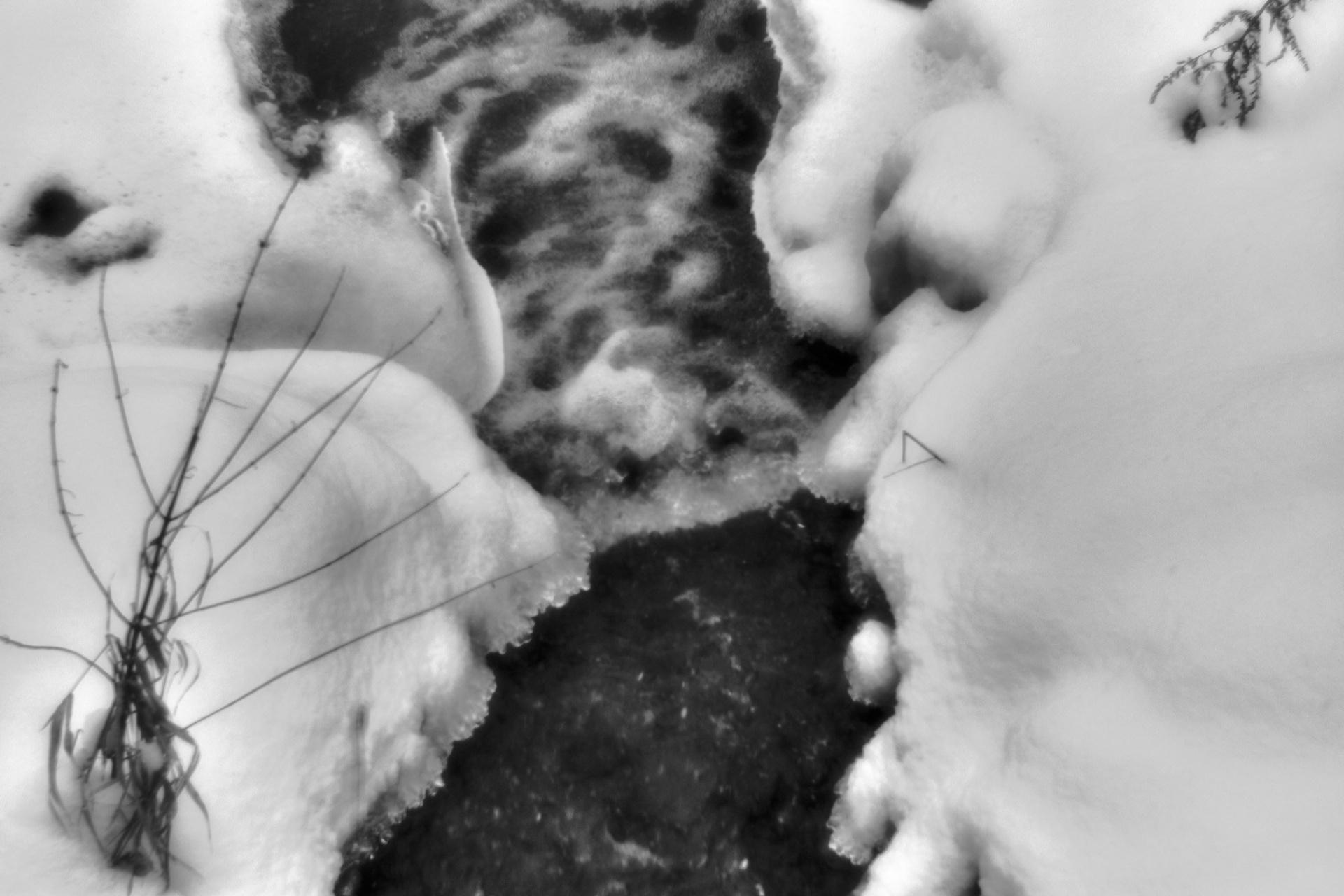 Рождество-2026. Фотограф Виктор Луганский Москва