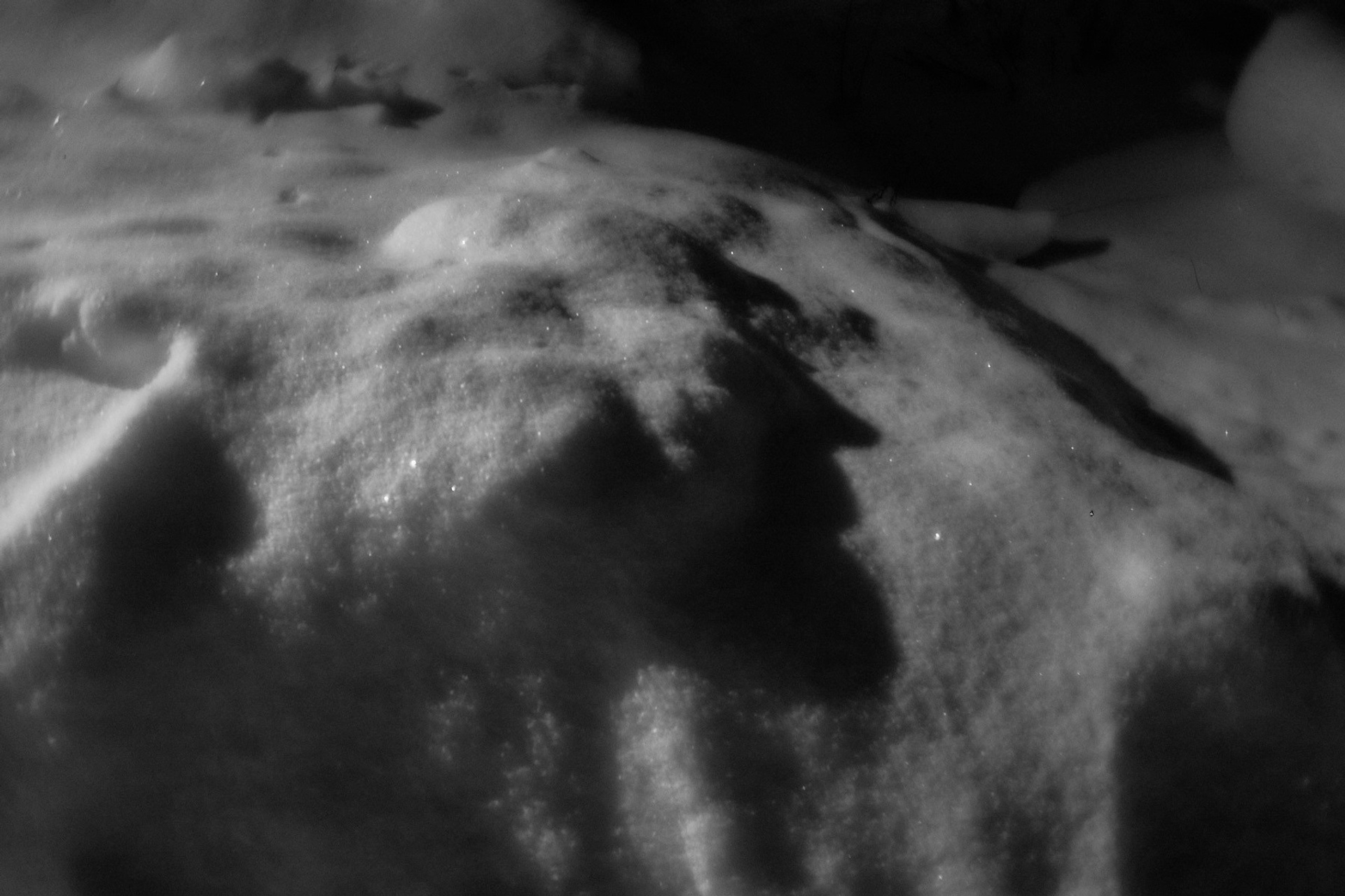 Рождество-2026. Фотограф Виктор Луганский Москва