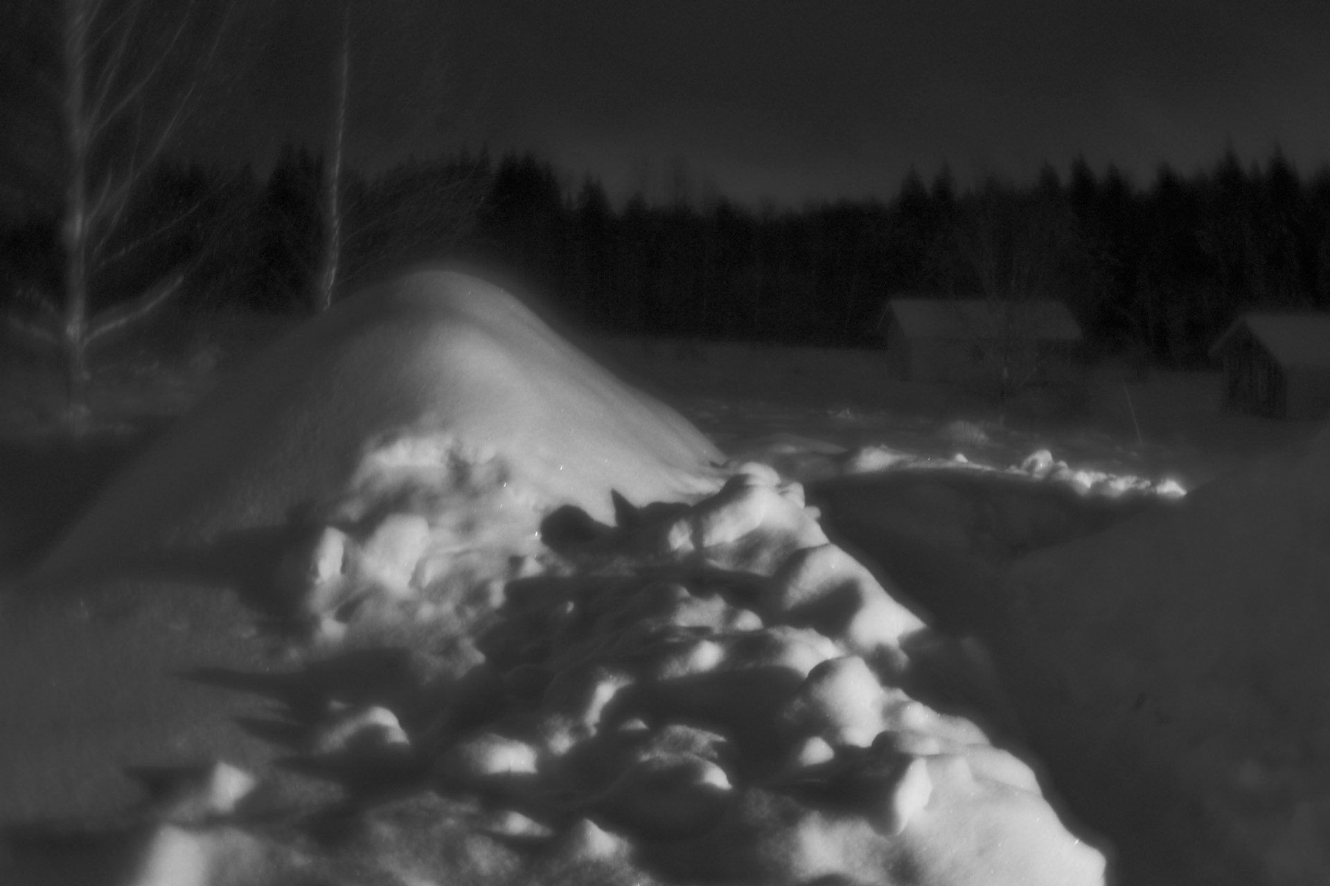 Рождество-2026. Фотограф Виктор Луганский Москва