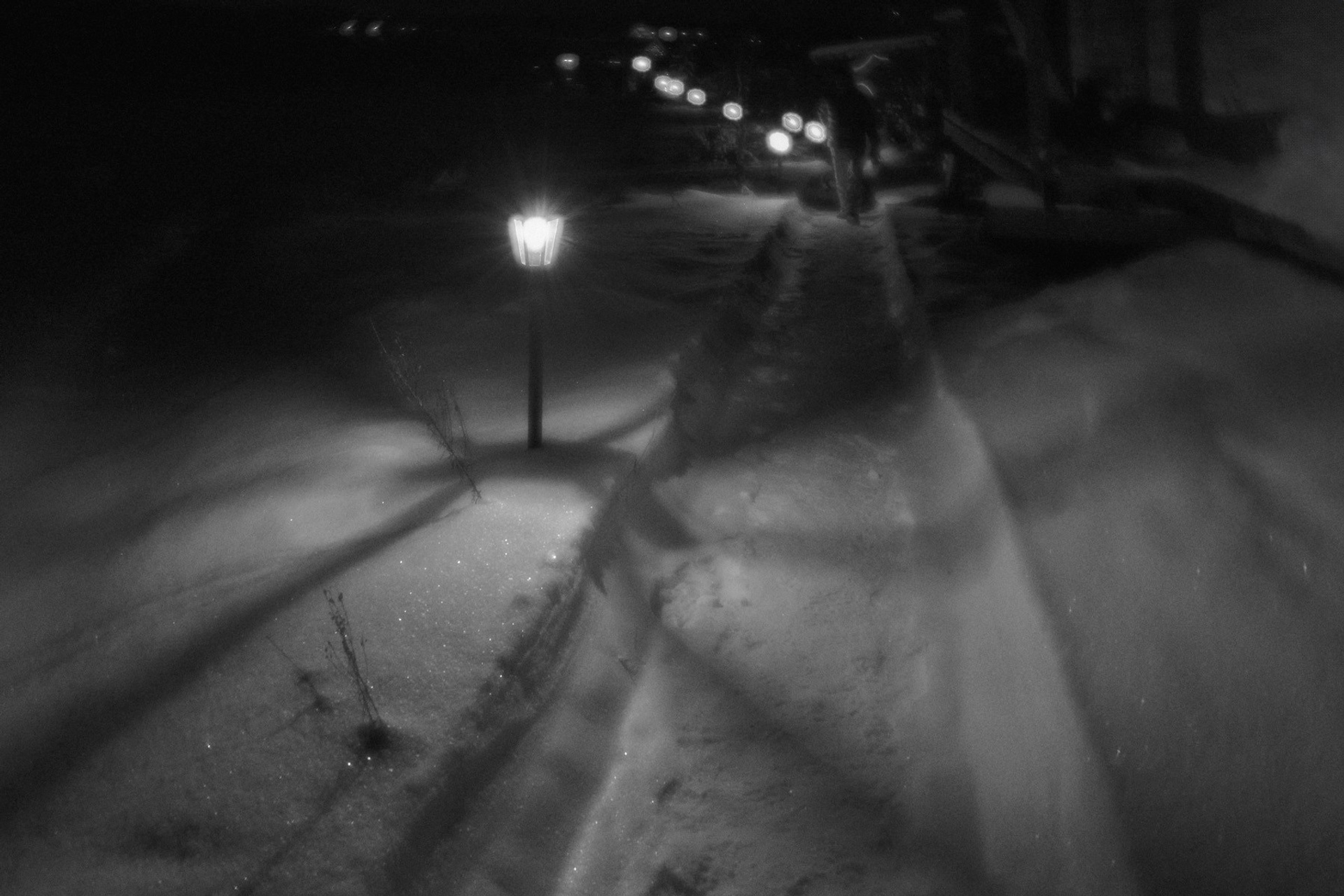 Рождество-2026. Фотограф Виктор Луганский Москва