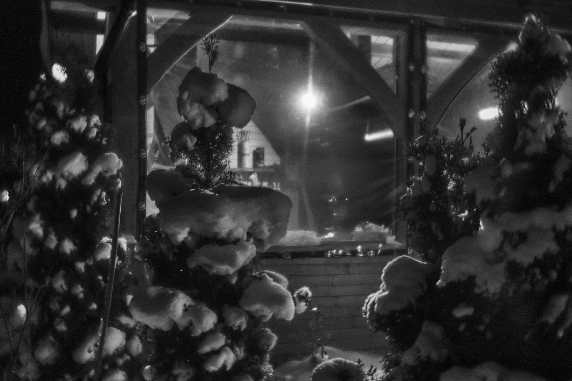 Рождество-2026. Фотограф Виктор Луганский Москва