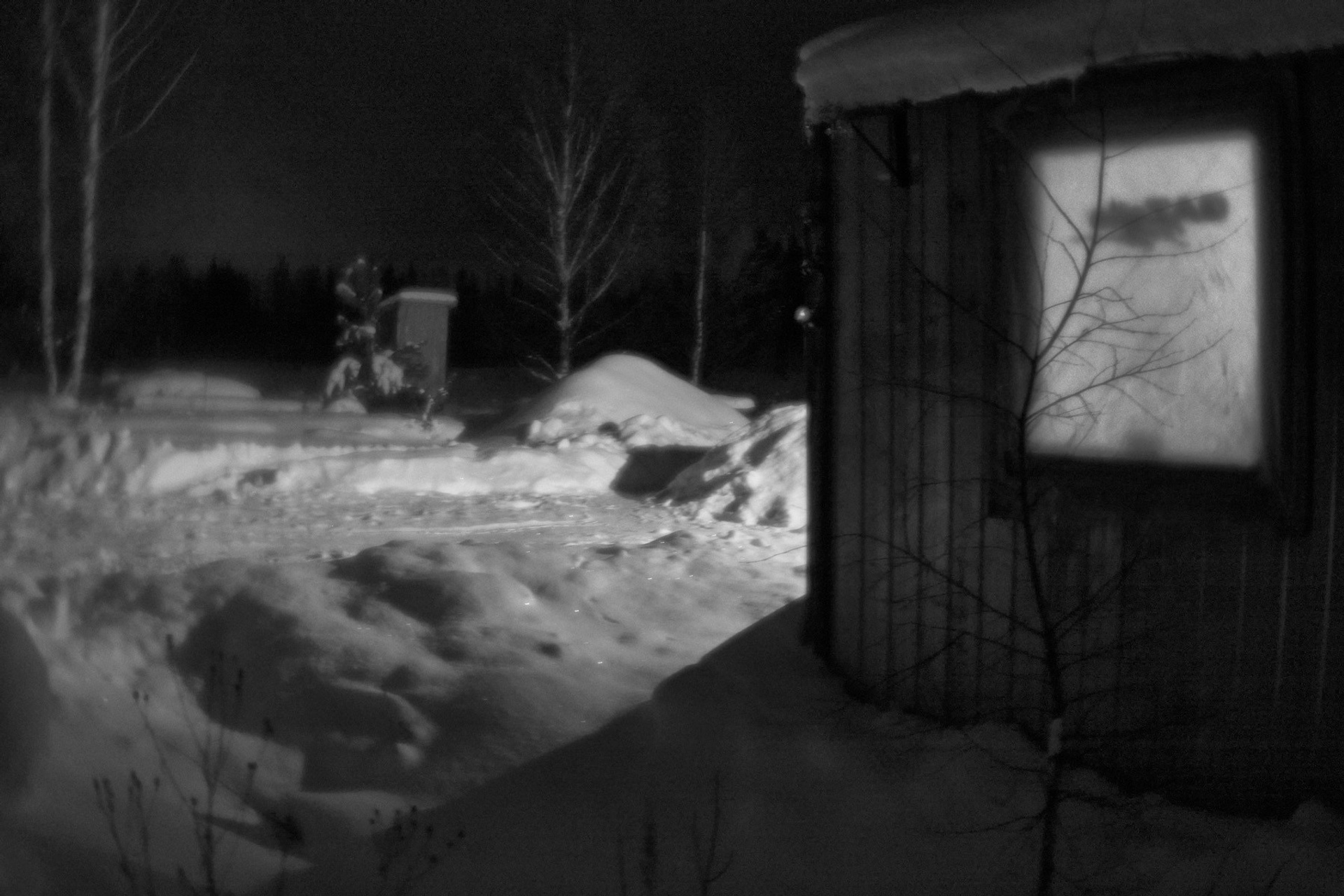 Рождество-2026. Фотограф Виктор Луганский Москва