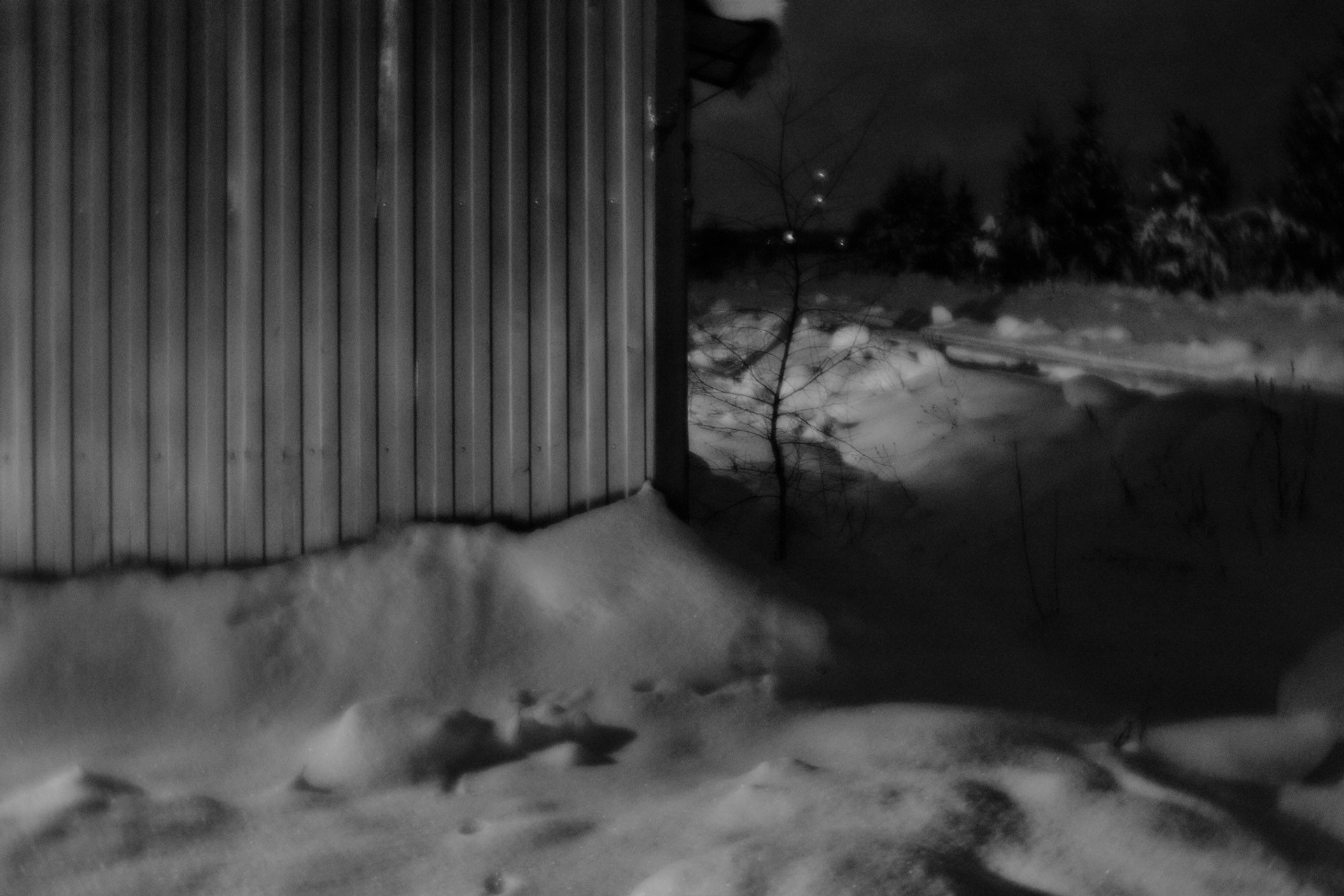 Рождество-2026. Фотограф Виктор Луганский Москва