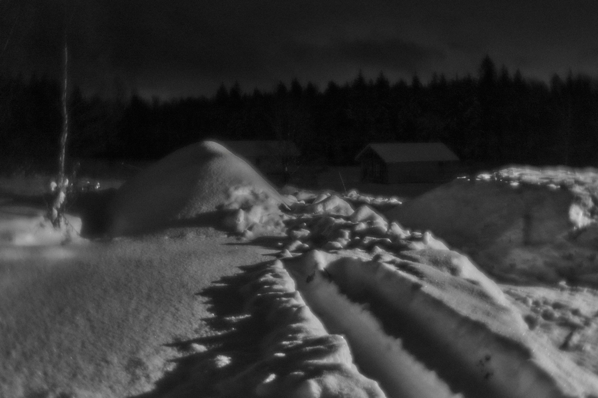 Рождество-2026. Фотограф Виктор Луганский Москва