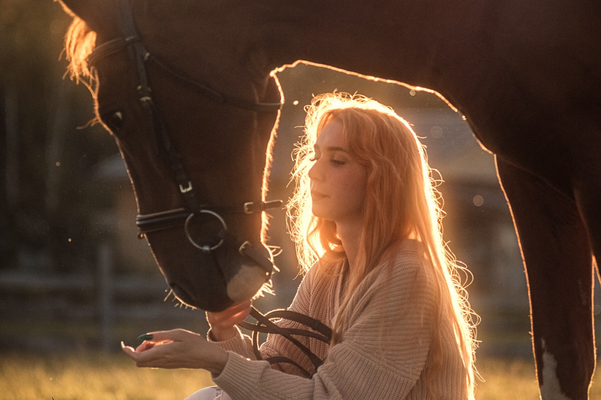 Съёмки с лошадьми
