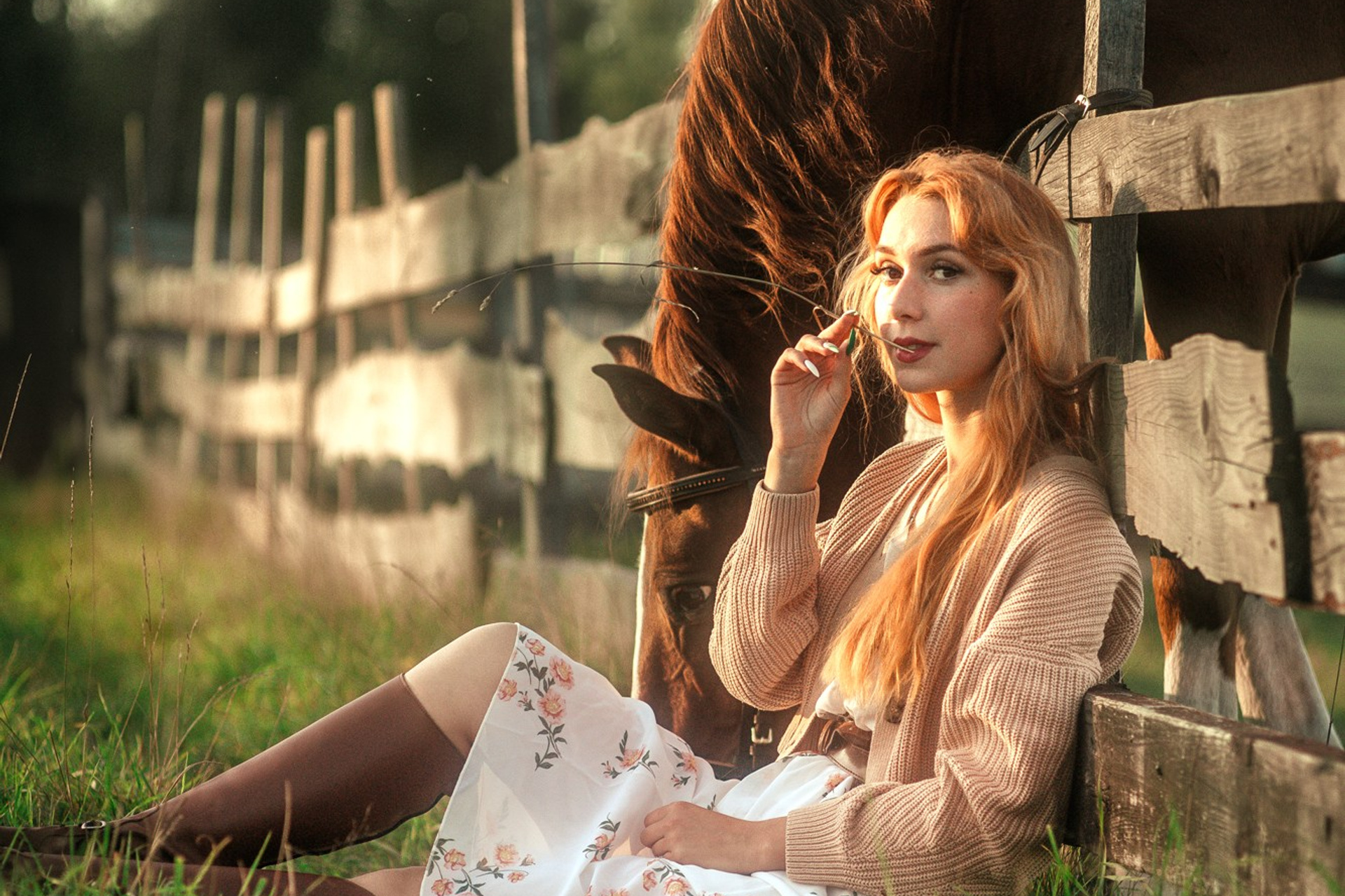 Съёмки с лошадьми