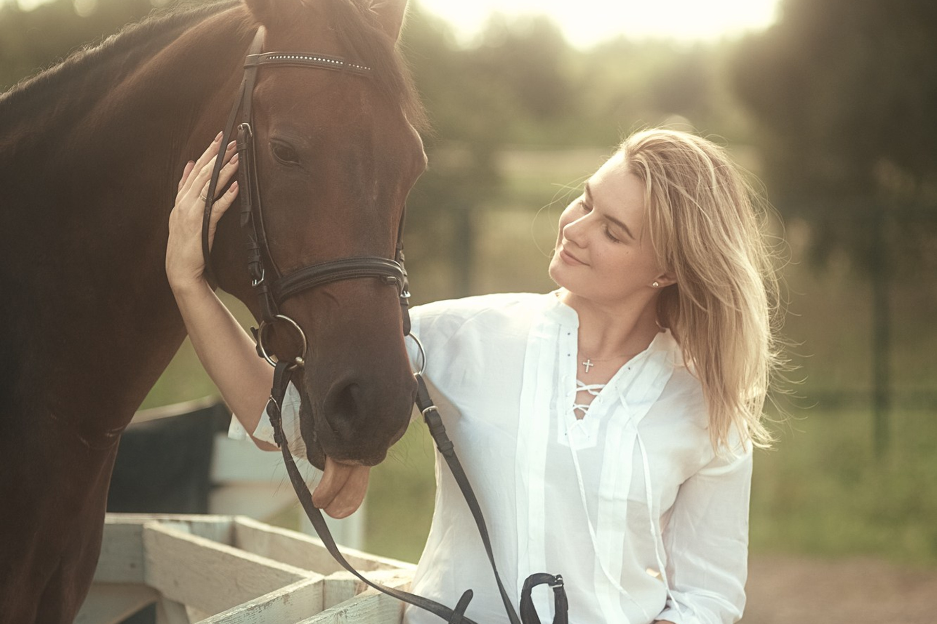 Съёмки с лошадьми