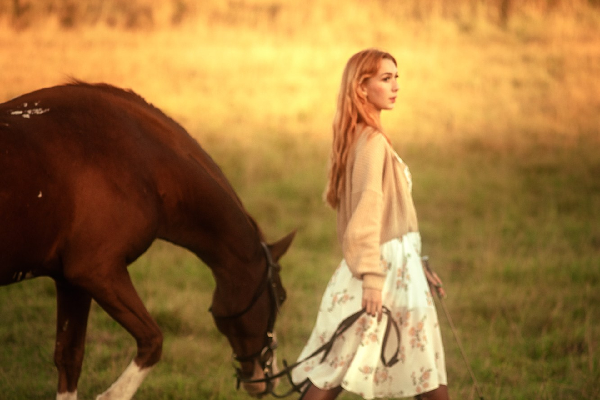 Съёмки с лошадьми