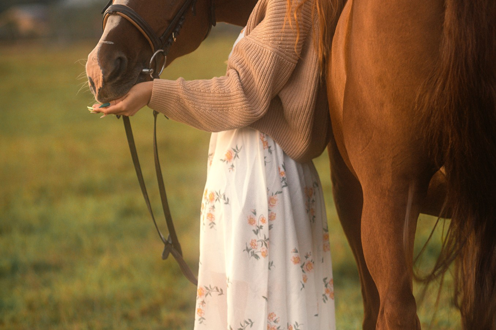 Съёмки с лошадьми