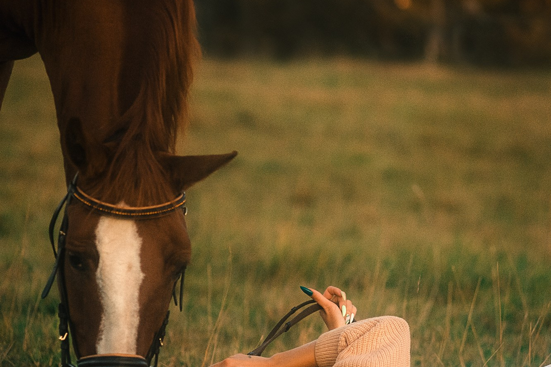 Съёмки с лошадьми