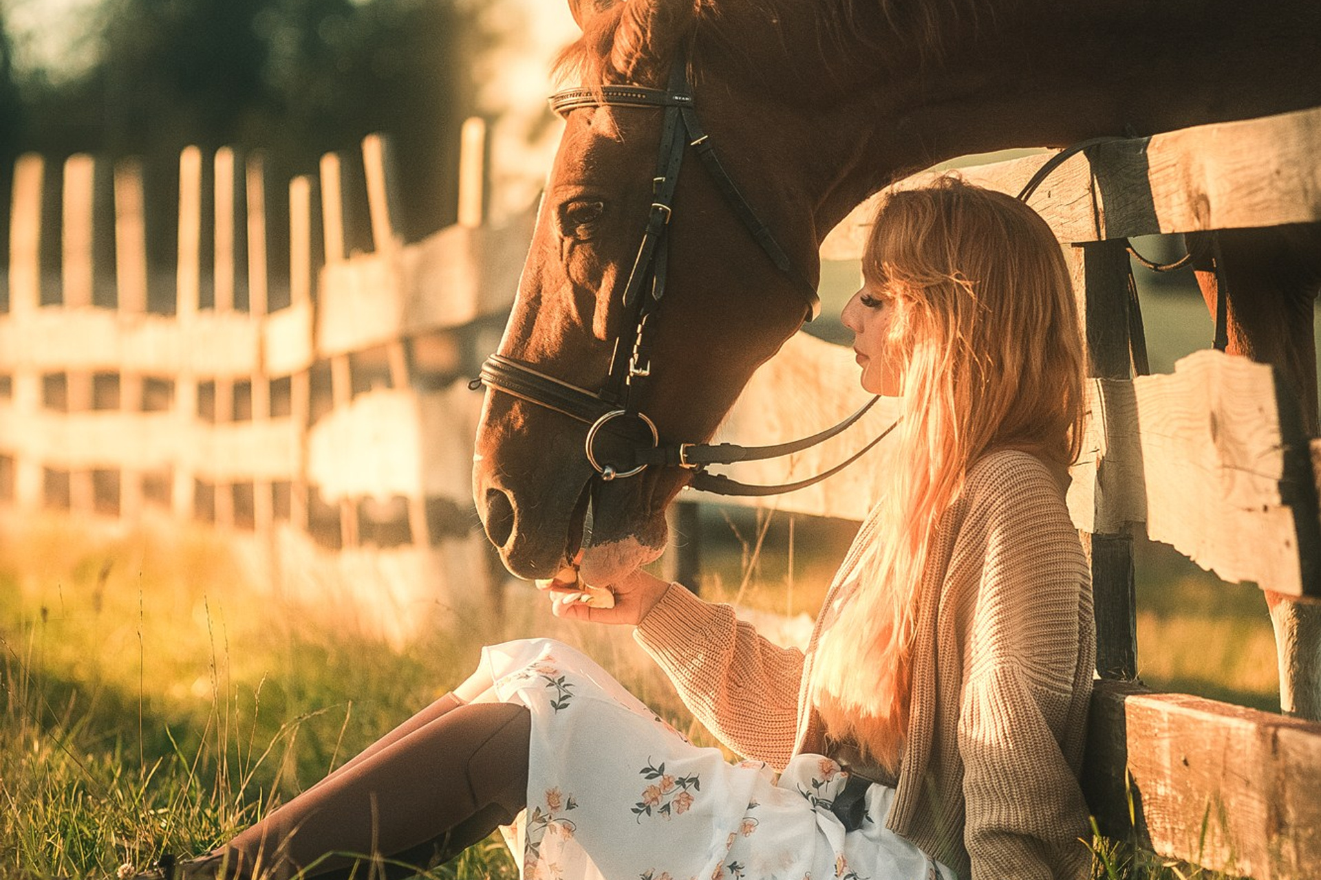 Съёмки с лошадьми