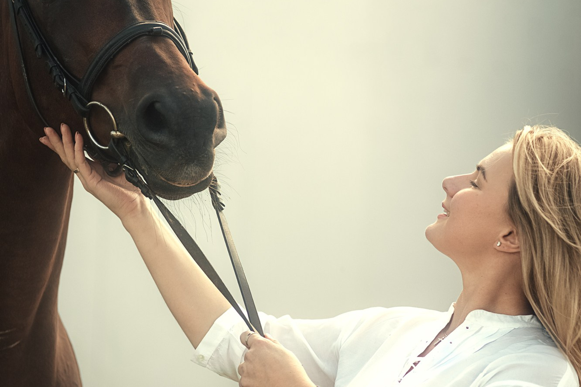 Съёмки с лошадьми