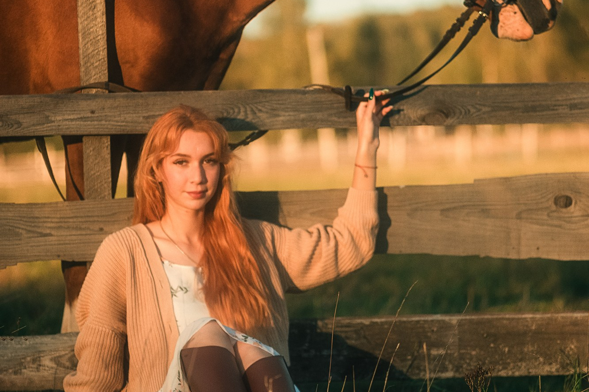 Съёмки с лошадьми