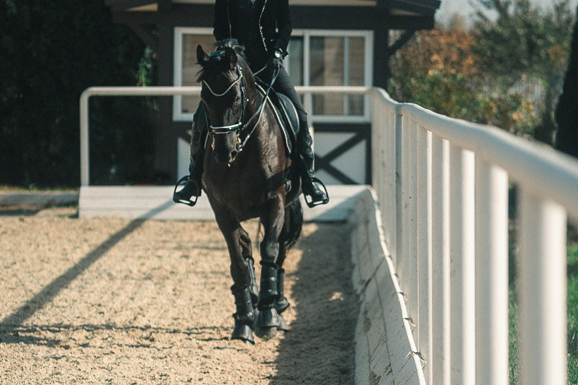 Съёмки с лошадьми