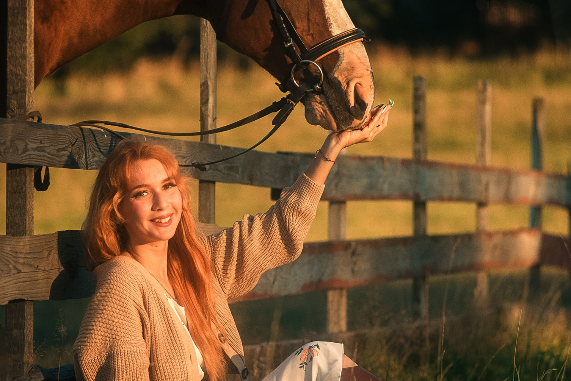 Съёмки с лошадьми