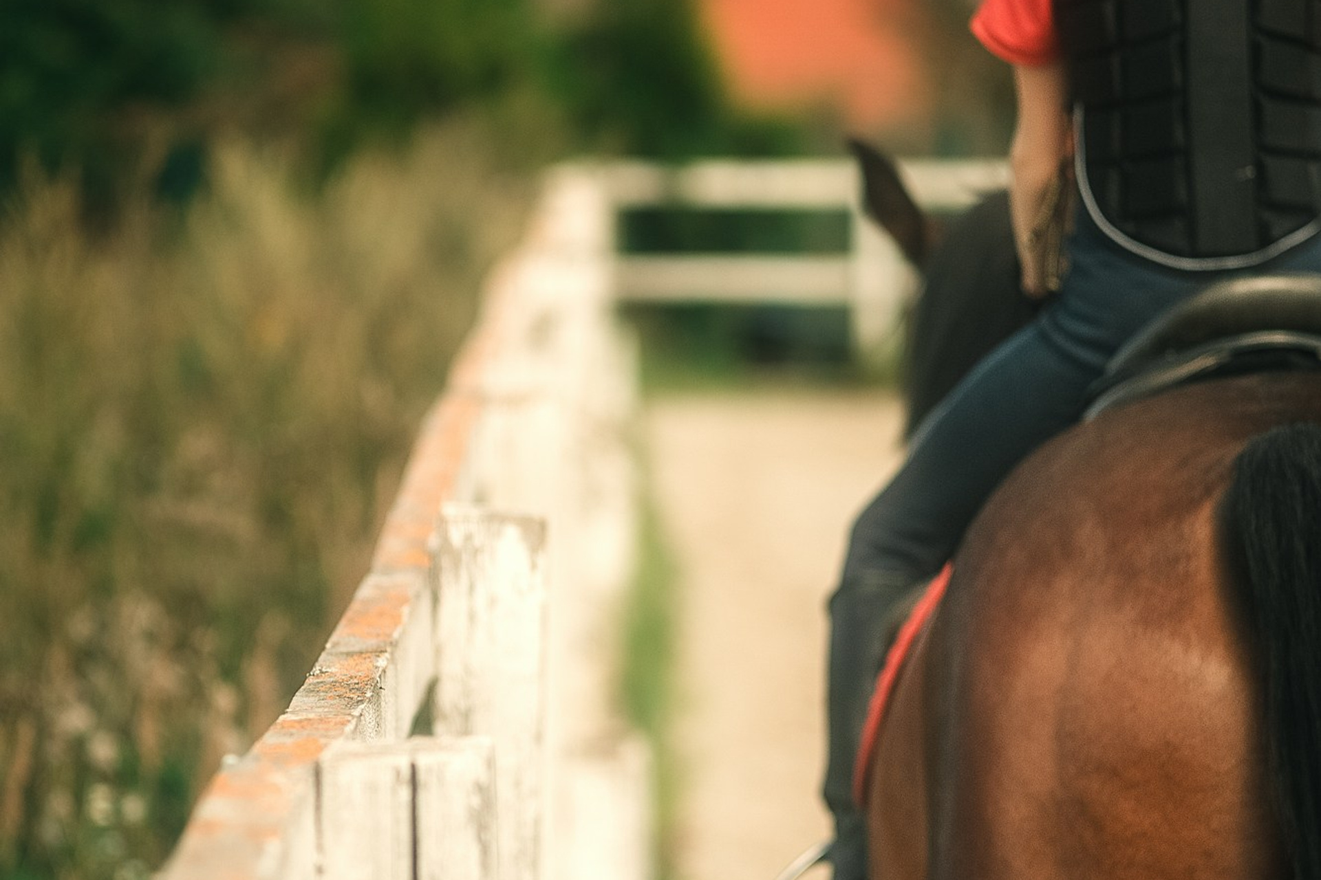 Съёмки с лошадьми