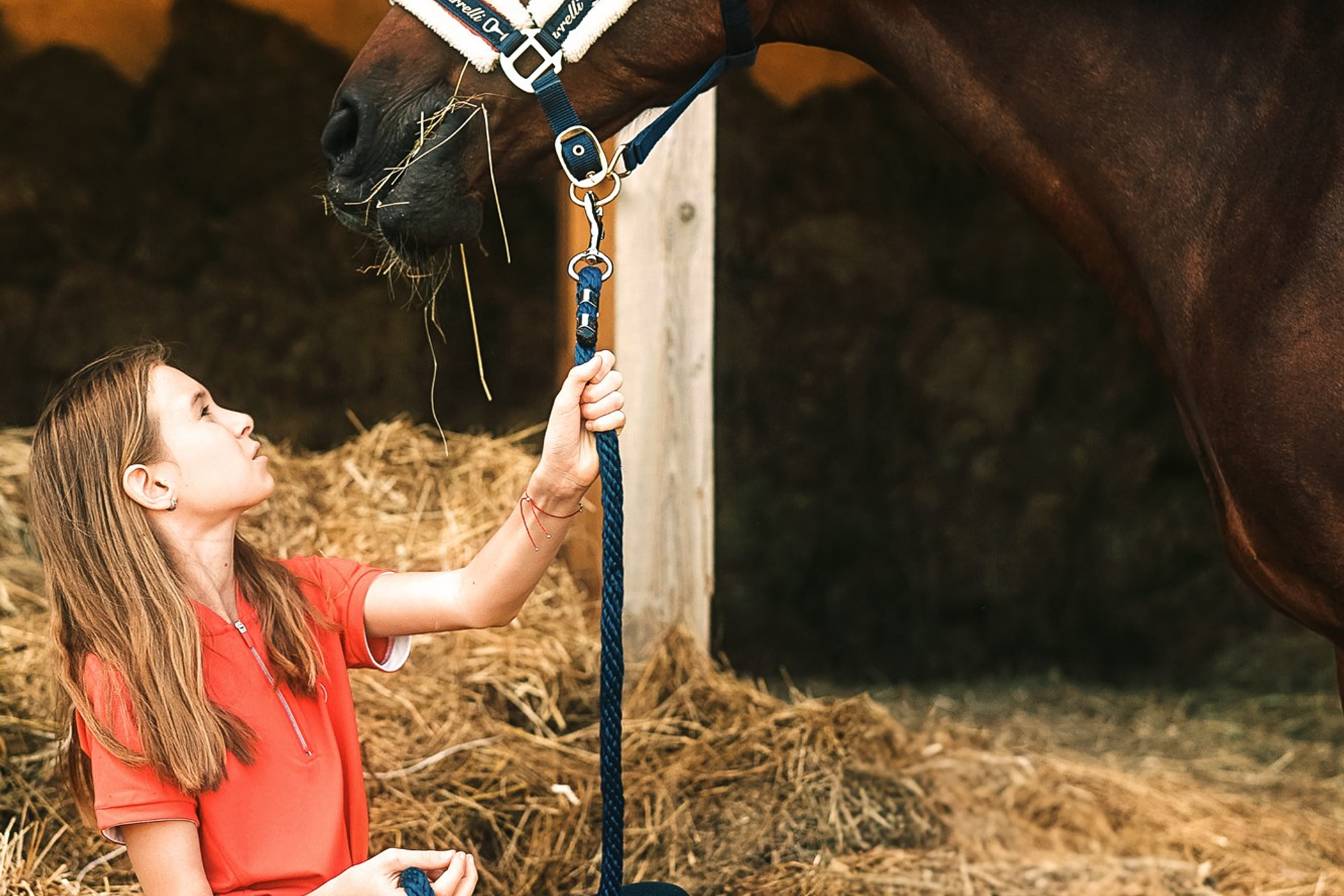 Съёмки с лошадьми