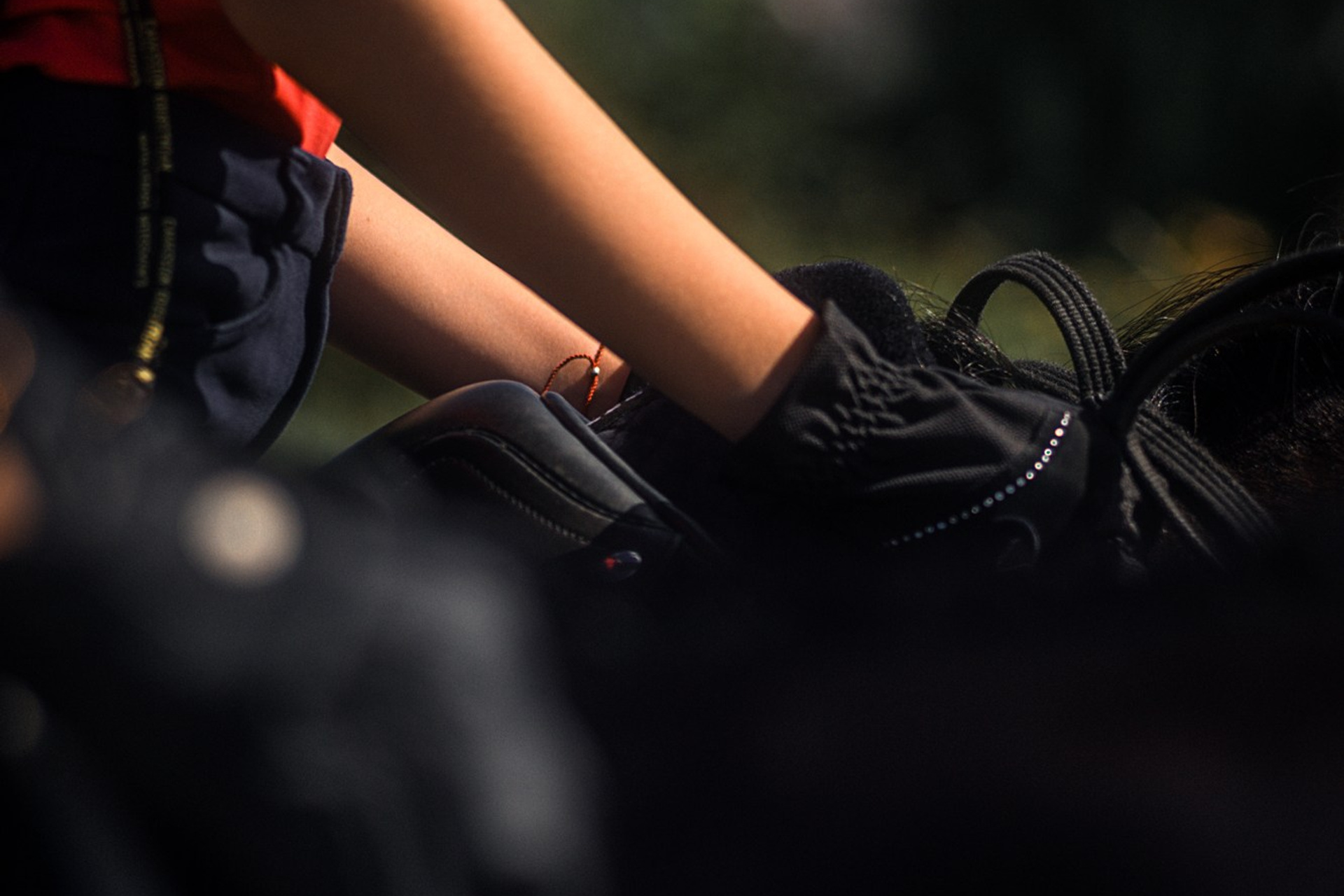 Съёмки с лошадьми