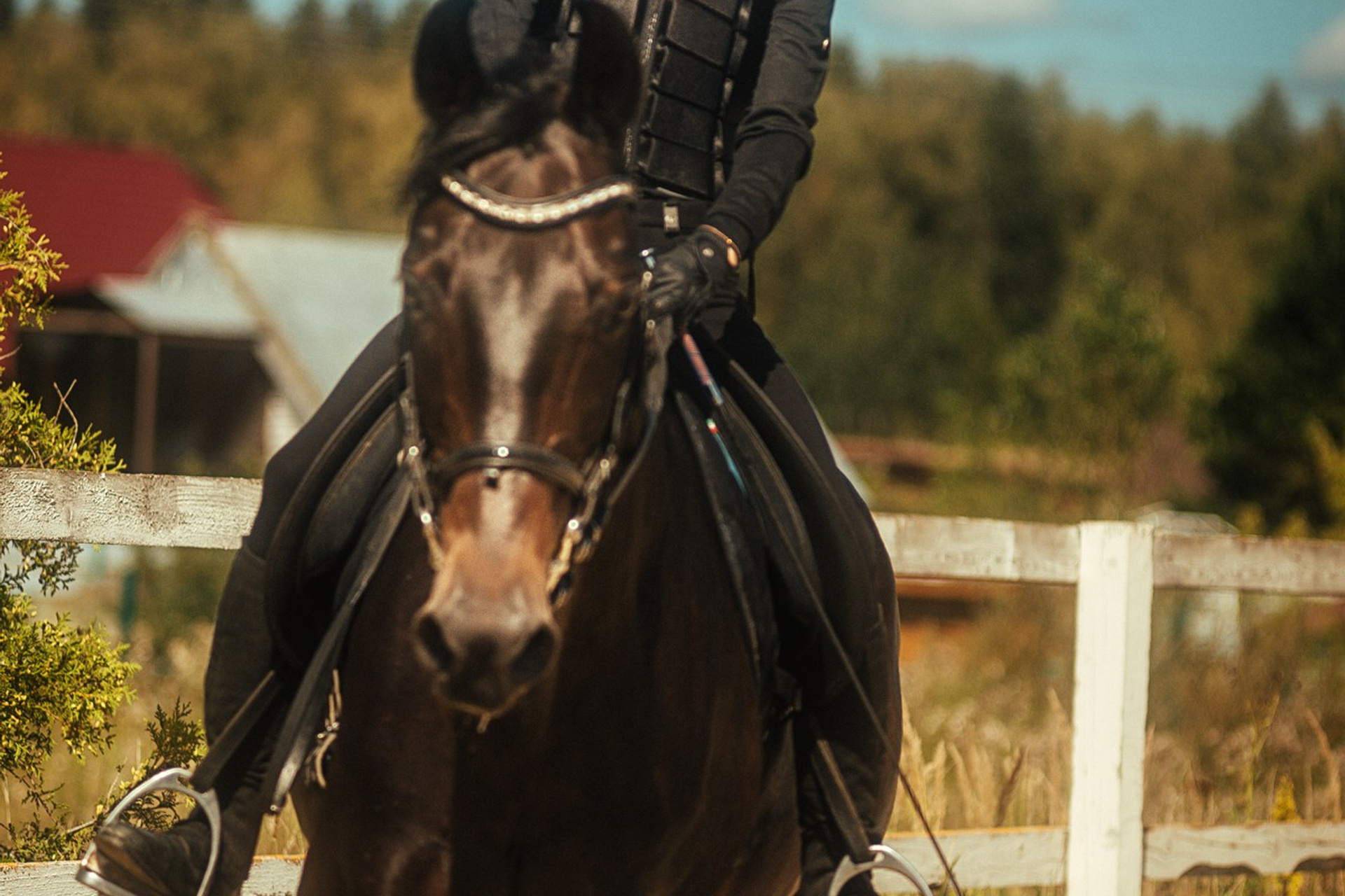 Съёмки с лошадьми