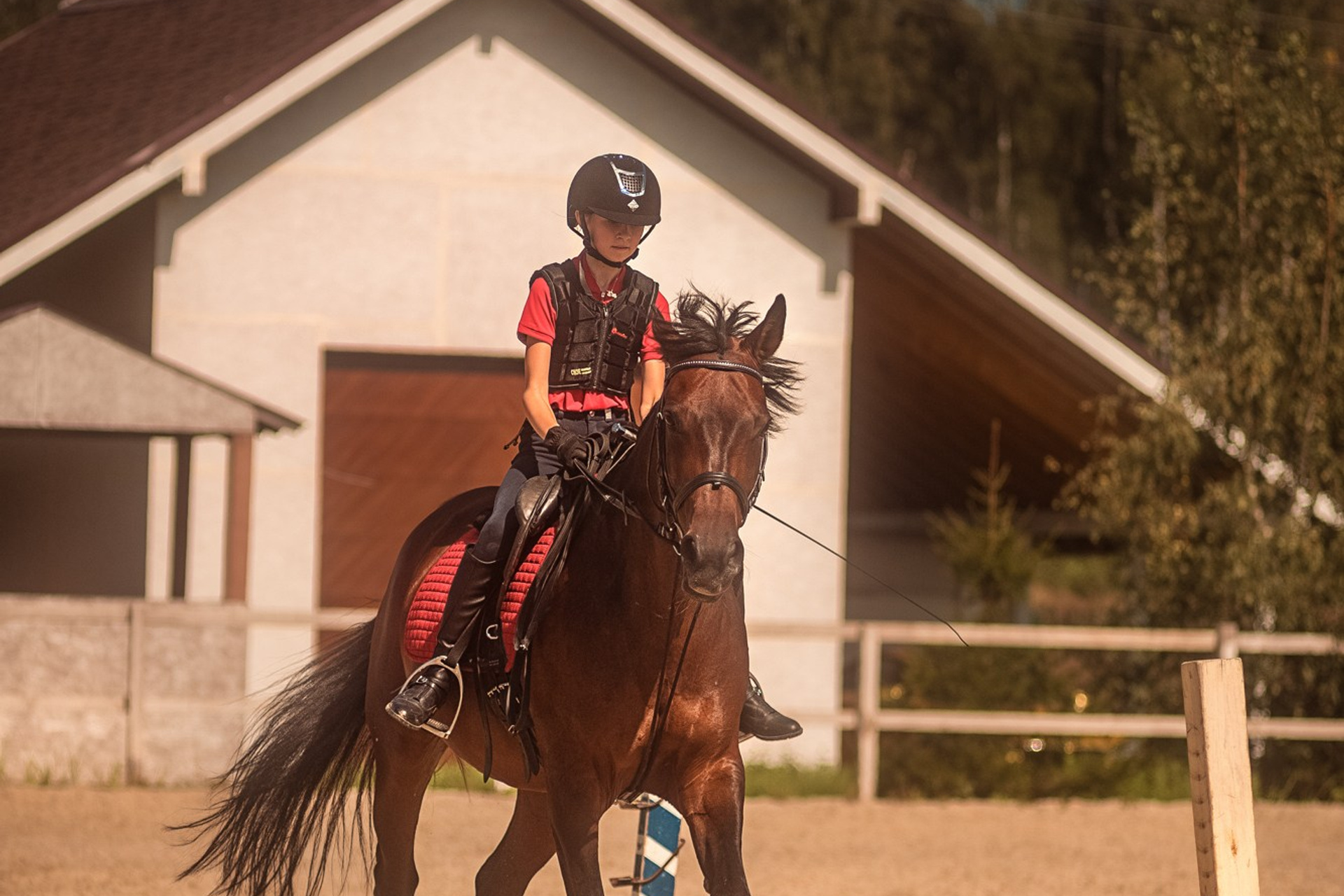 Съёмки с лошадьми