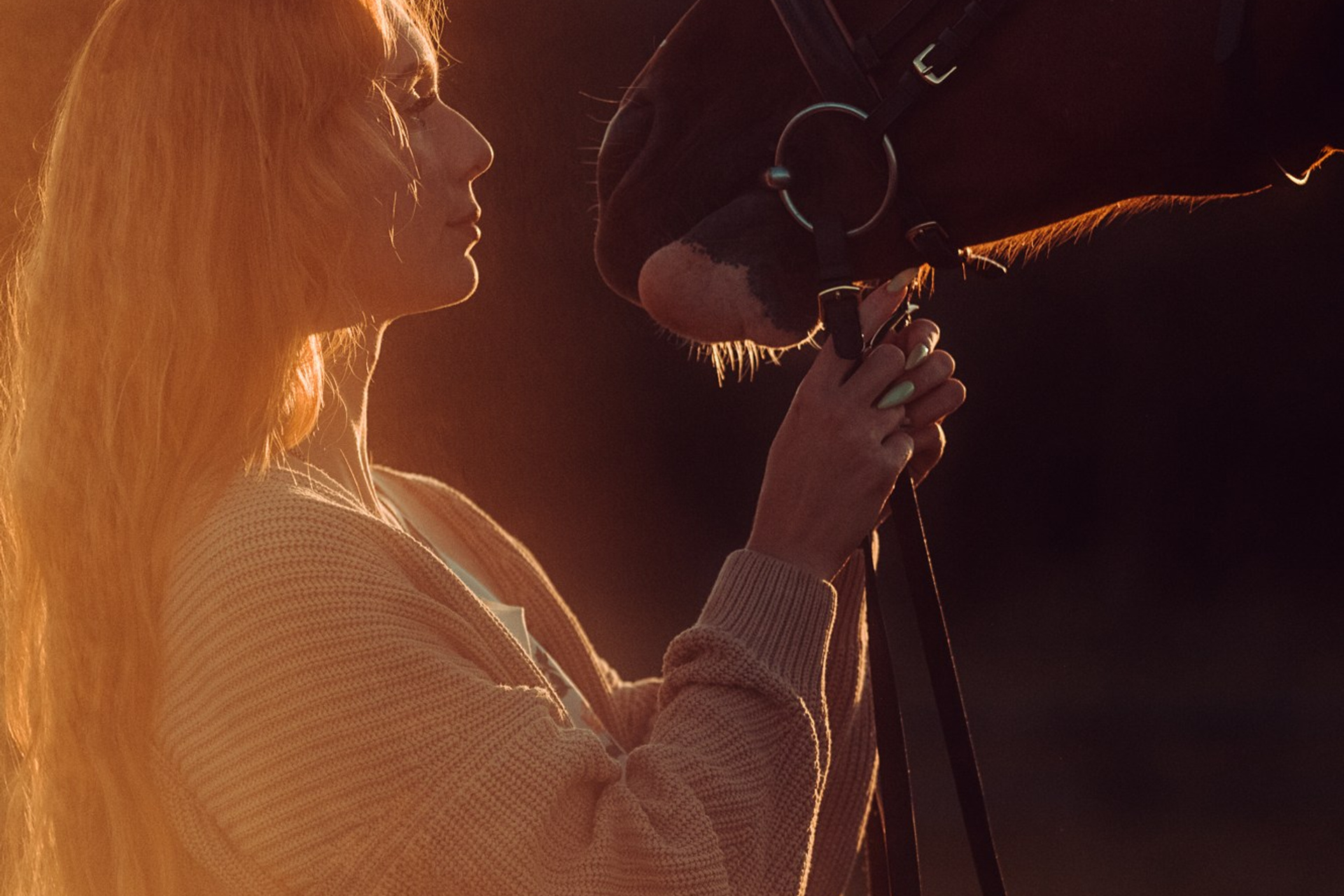 Съёмки с лошадьми