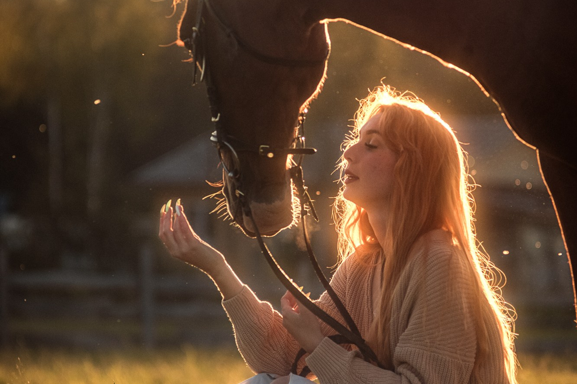 Съёмки с лошадьми