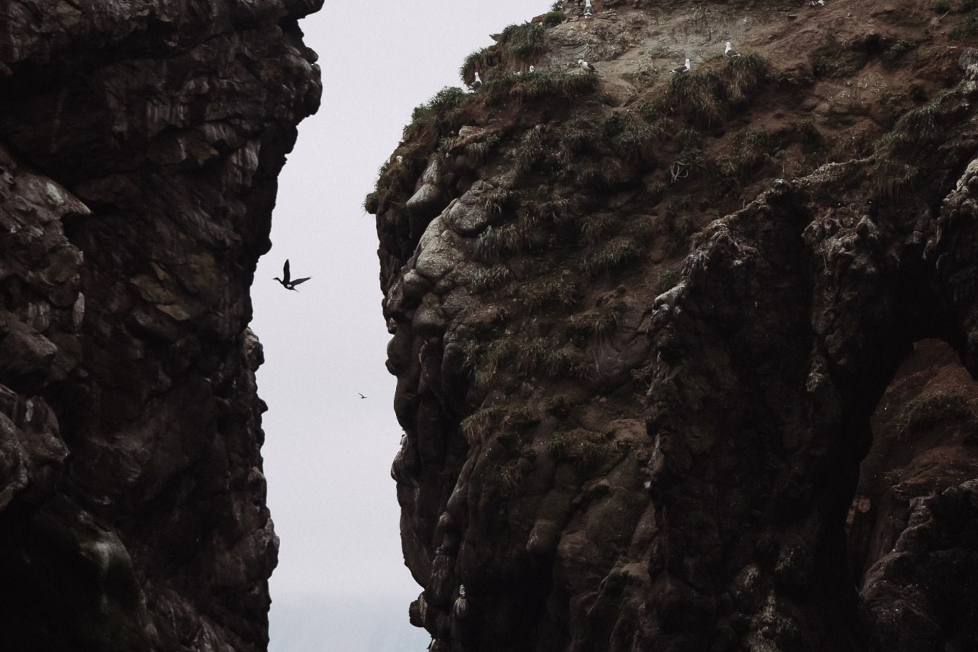 Почему шансы встретить китов на Камчатке выше, чем в Мурманске?