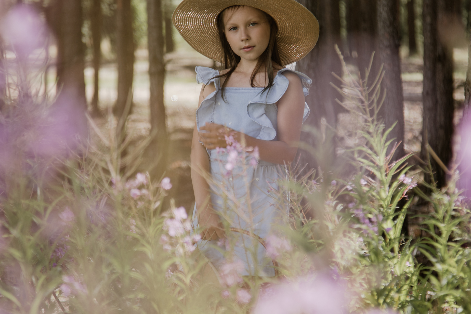 Лесная сказка