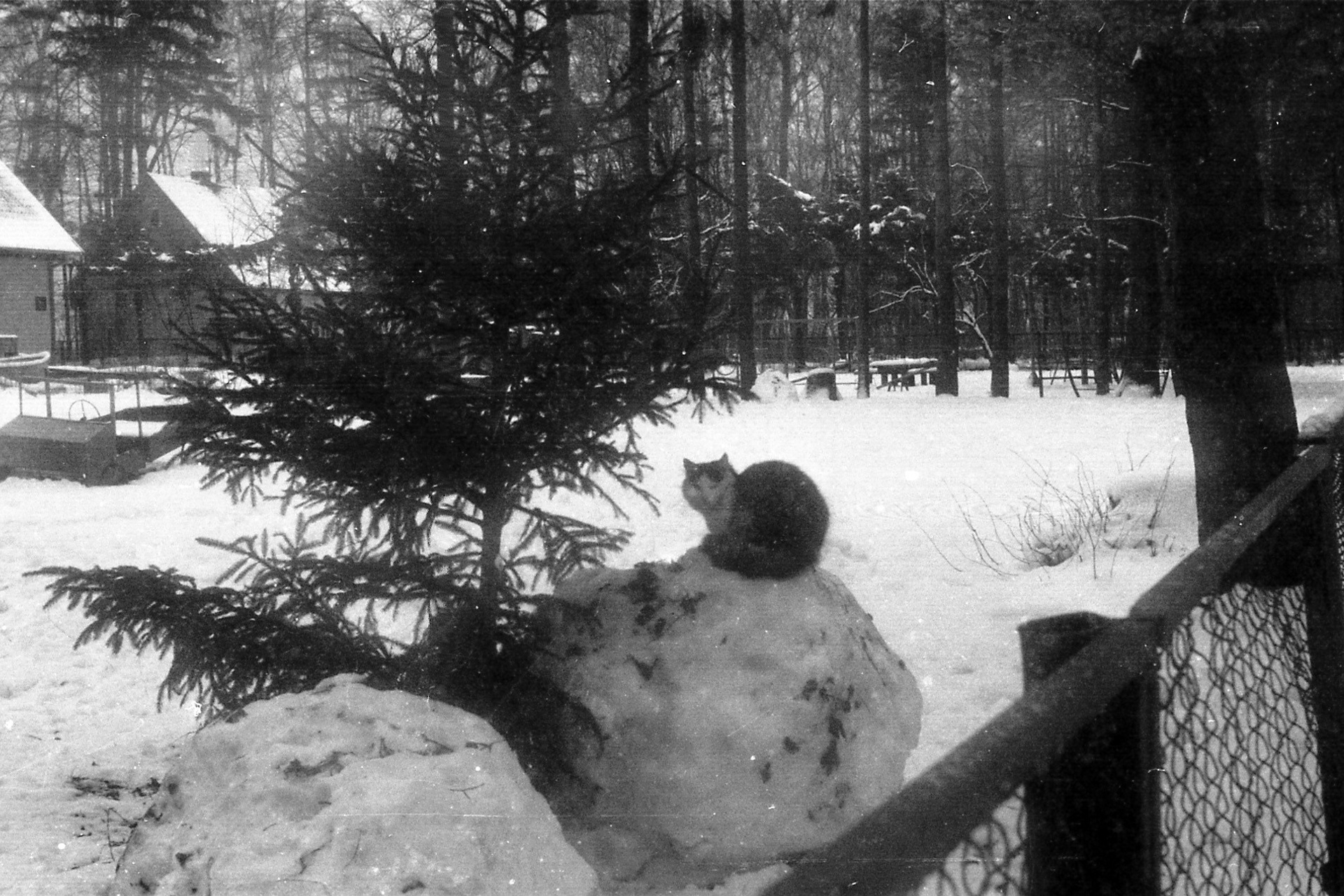 14 — Новогодняя