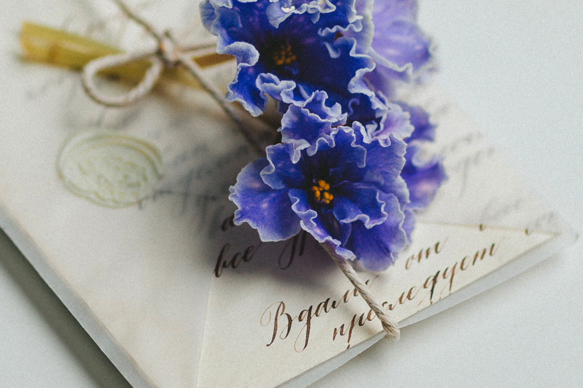 Съемка для Татьяны. Бизнес: онлайн-магазин фиалок