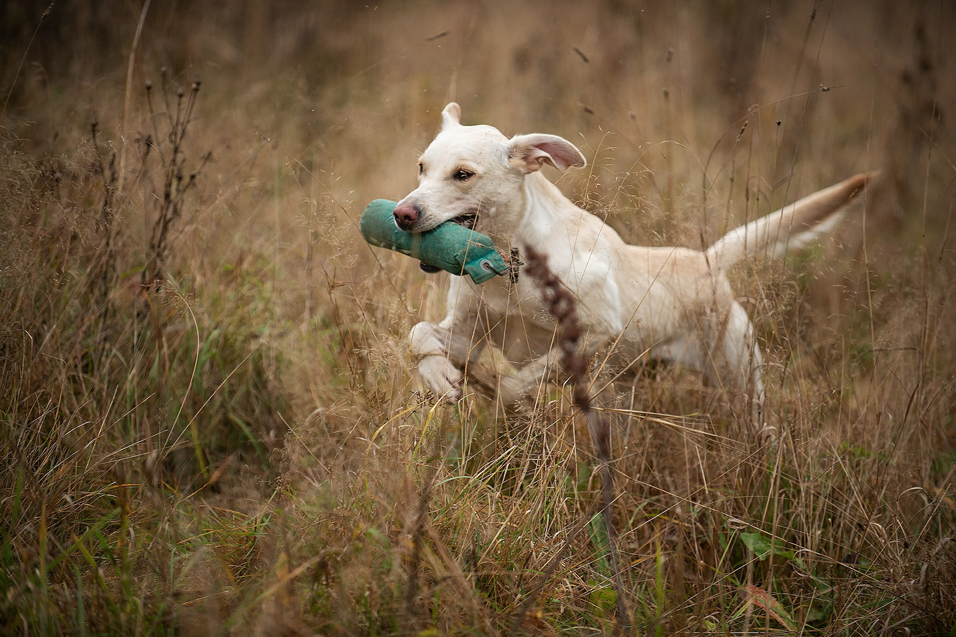 Несертификатный ВТ Школы Шмеля, 21 октября 2023