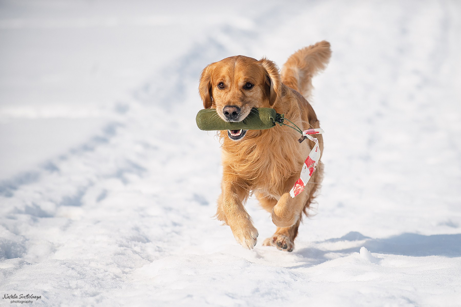 Тренировочный ВТ Школы Шмеля 02 марта 2024