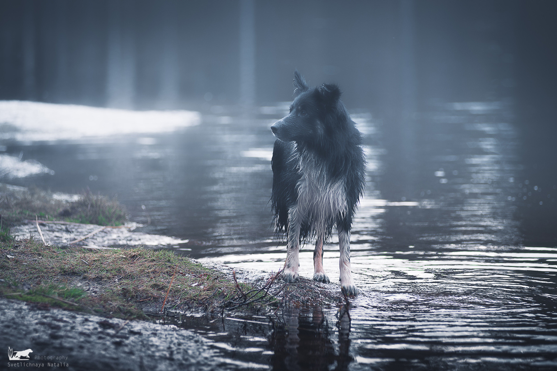 В гостях под Выборгом