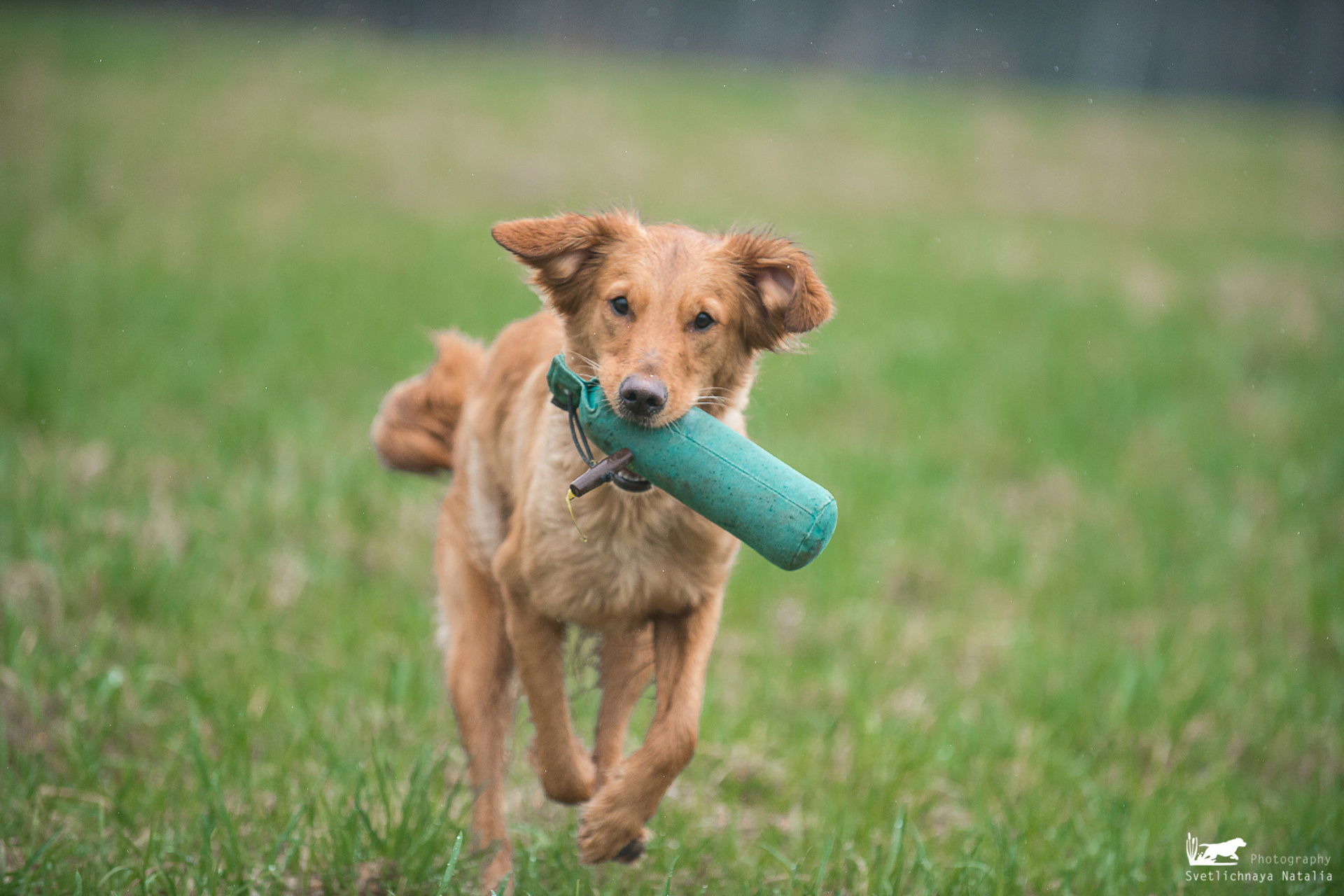 WT Школы Шмеля 24 апреля 2021 года